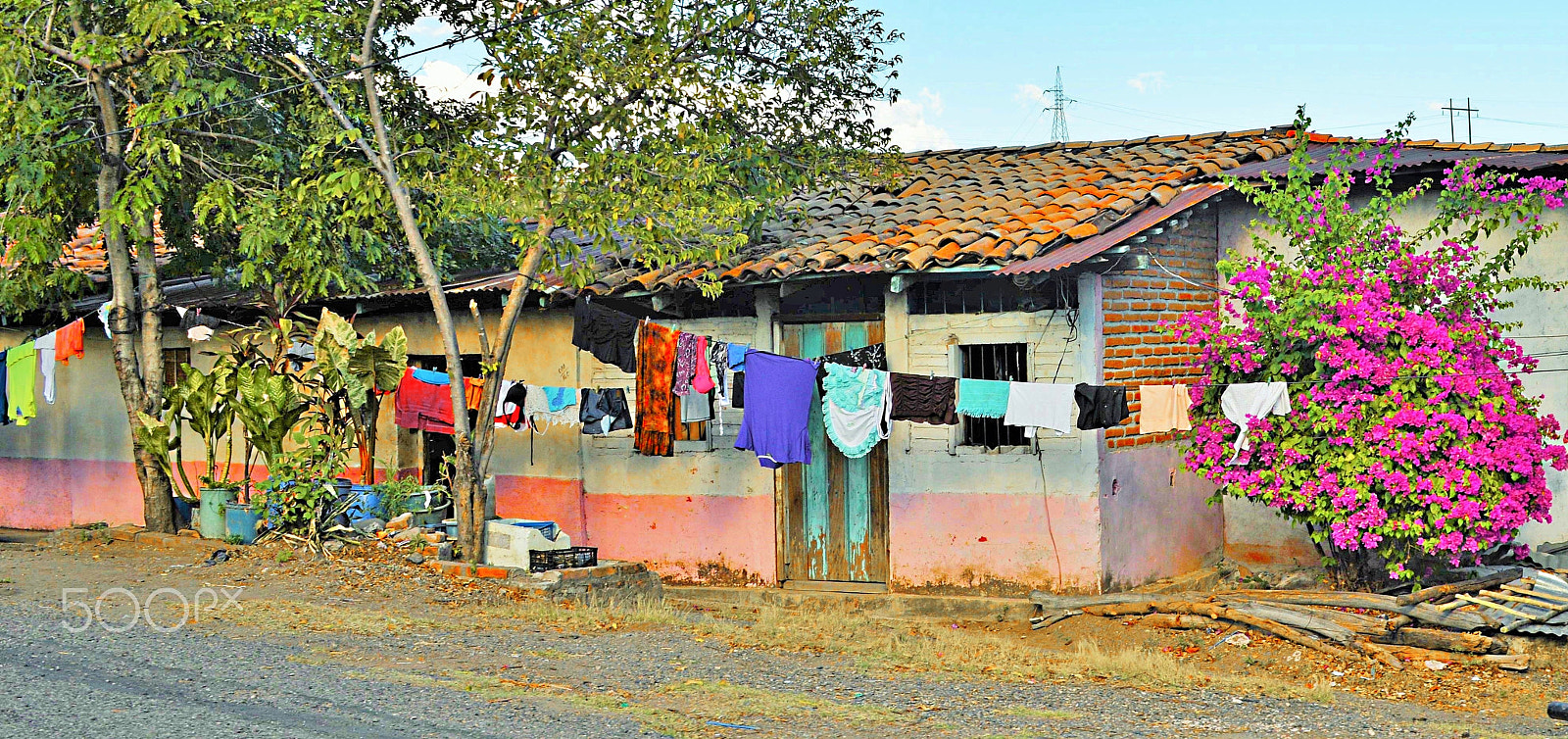 Nikon D610 + Sigma 28-70mm F2.8 EX sample photo. Colorful rural living photography