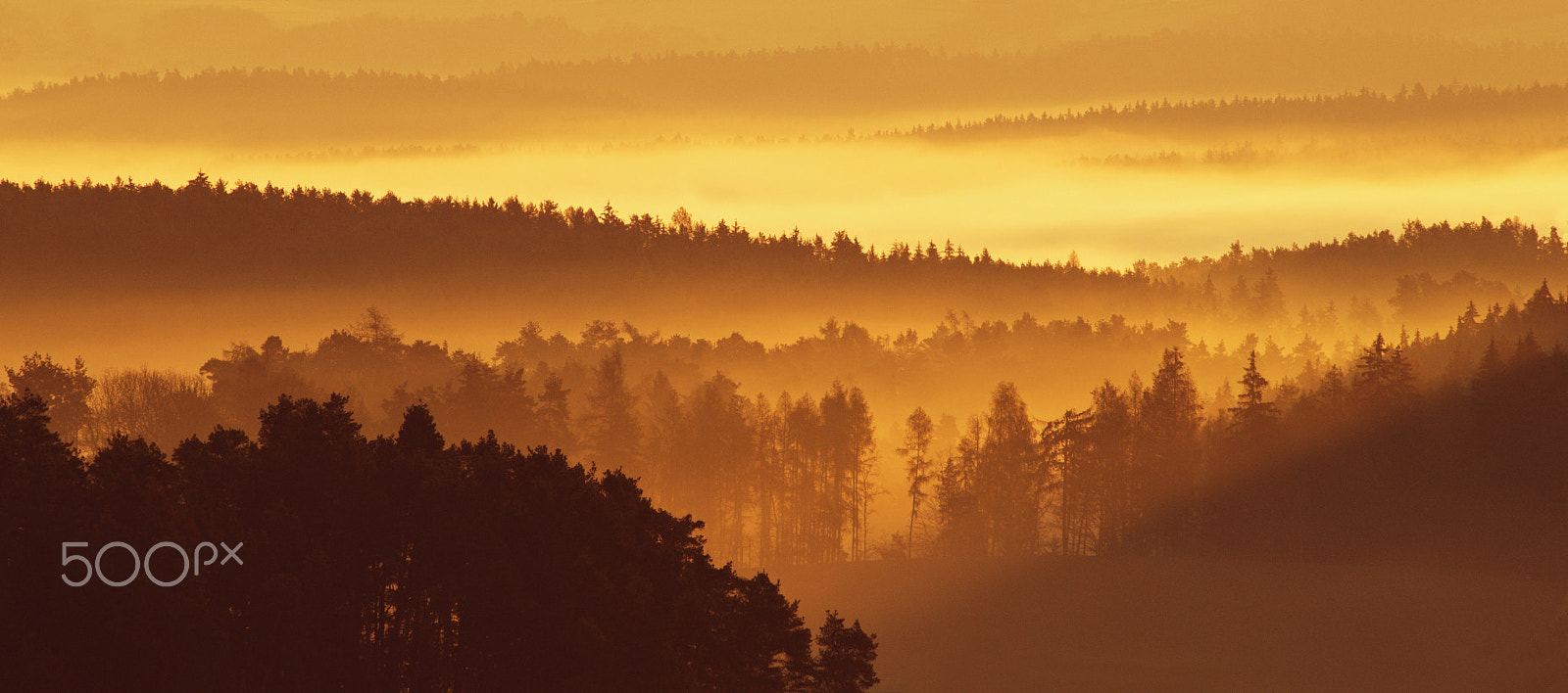 70.00 - 300.00 mm f/4.0 - 5.6 sample photo. Daybreak ... photography
