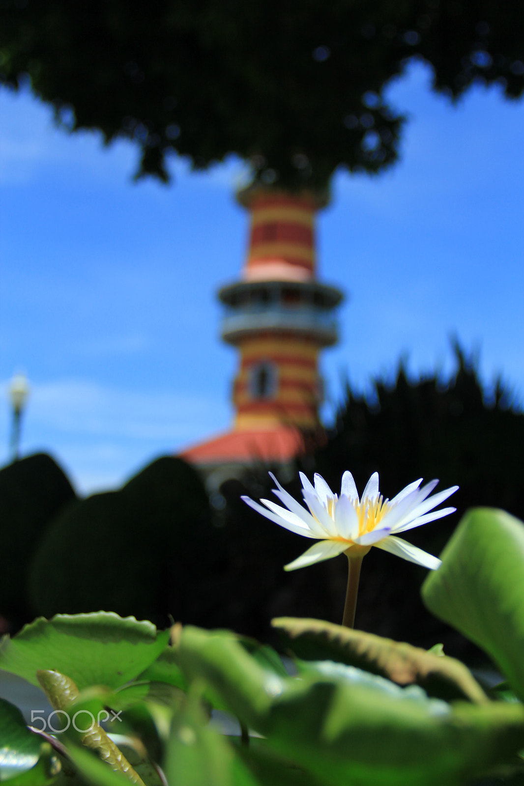 Canon EF 22-55mm f/4-5.6 USM sample photo. Lotus and lighthouse photography