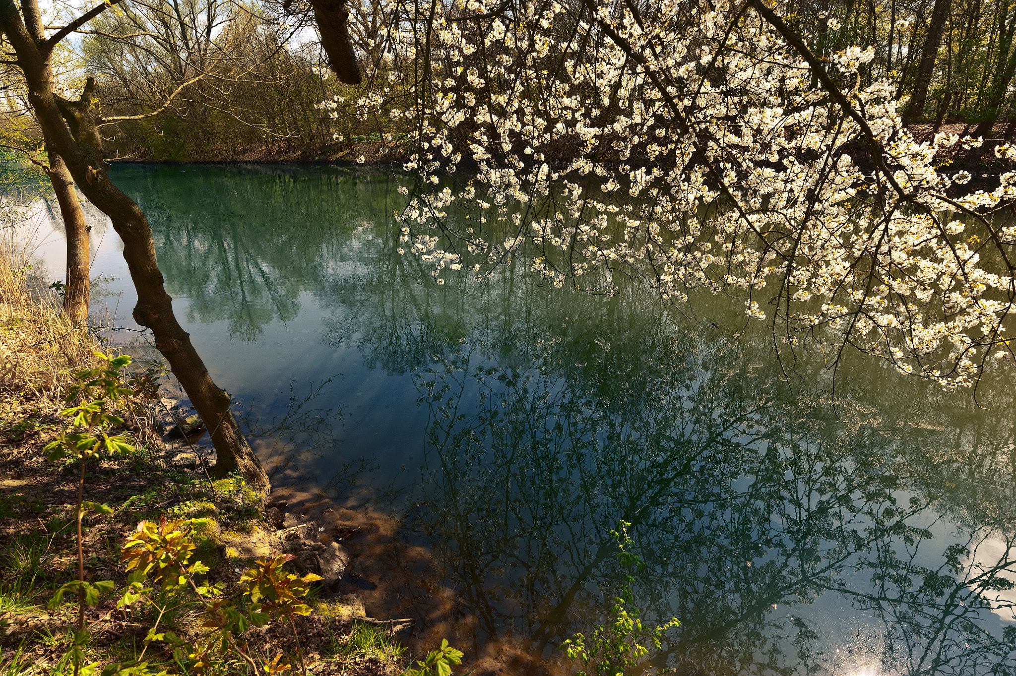 Nikon AF-S Nikkor 18-35mm F3.5-4.5G ED sample photo. Traces of spring photography