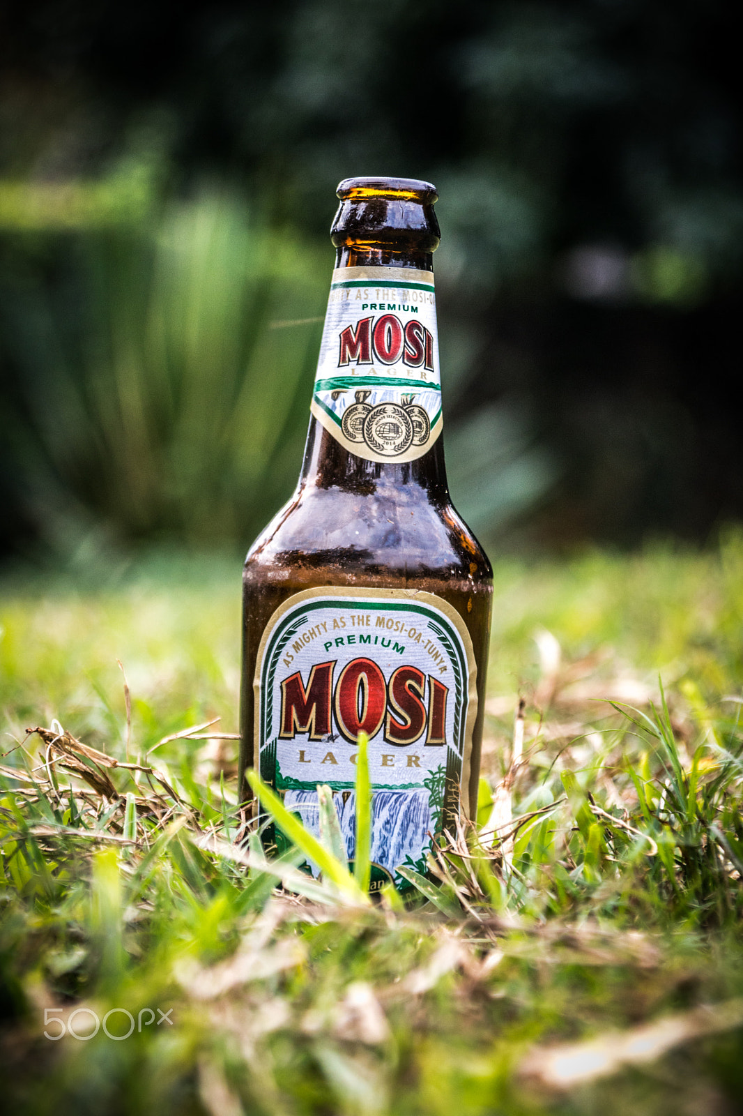 Canon EOS 750D (EOS Rebel T6i / EOS Kiss X8i) + Canon TS-E 90mm F2.8 Tilt-Shift sample photo. Mosi lager photography