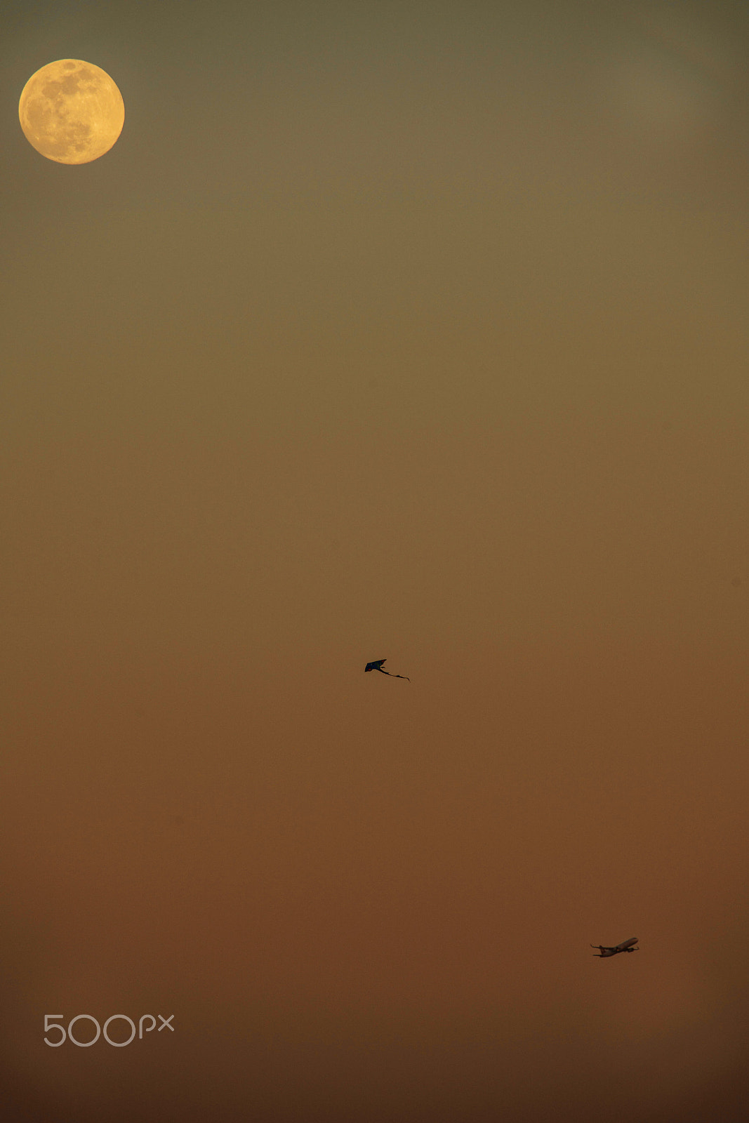 Canon EF 100-400mm F4.5-5.6L IS USM sample photo. 03.jpg photography