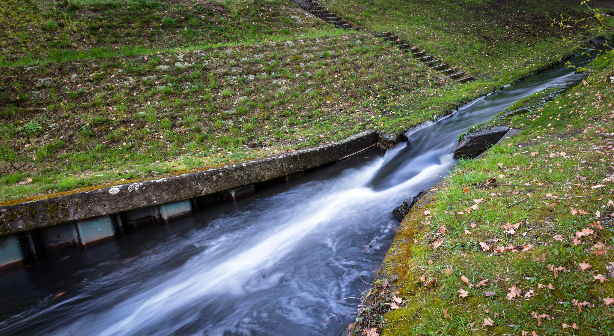 Sigma 24-105mm f/4 DG OS HSM | A sample photo. Bach photography