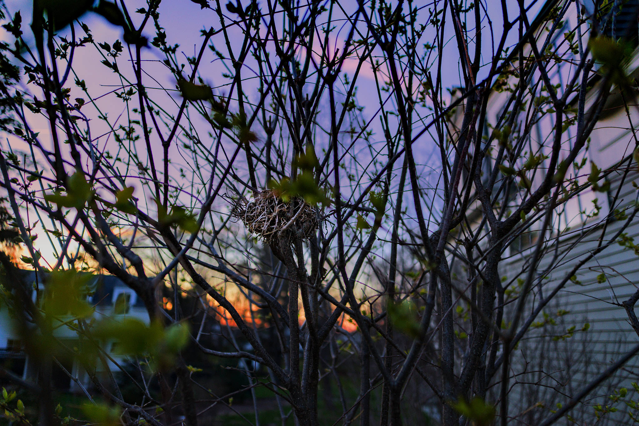 Sony SLT-A99V sample photo. House photography