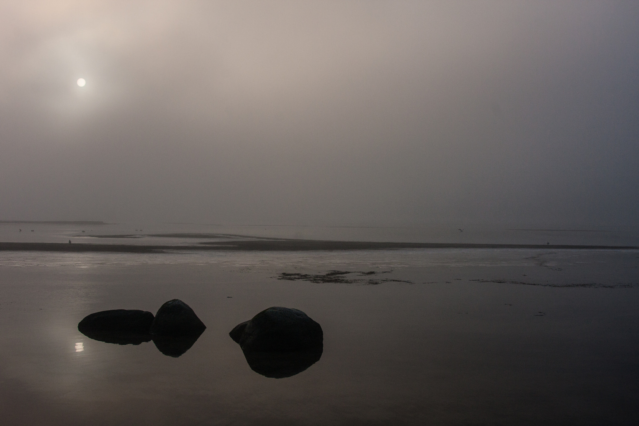 Canon EOS 40D sample photo. Foggy day at lomma beach photography