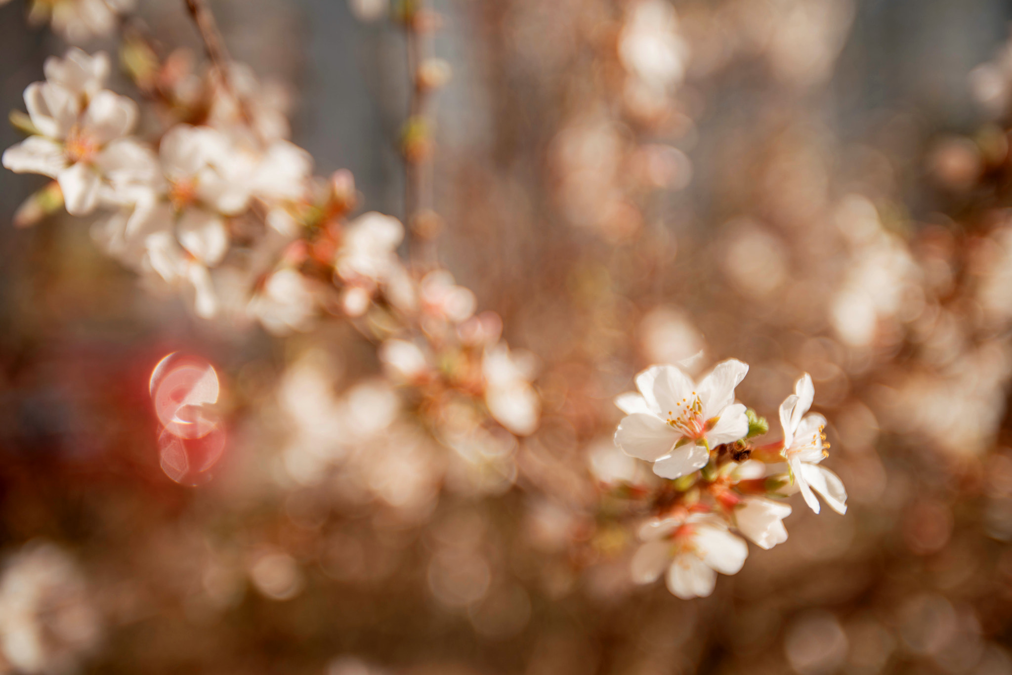 Canon EF 16-35mm F2.8L USM sample photo. 06.jpg photography