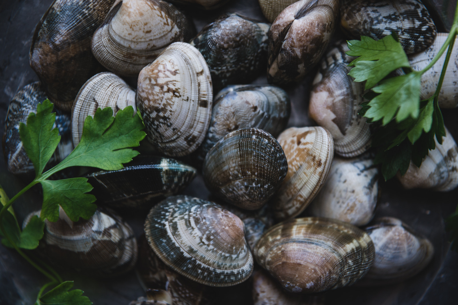 Nikon AF-S Nikkor 24-70mm F2.8E ED VR sample photo. Asari clams. photography