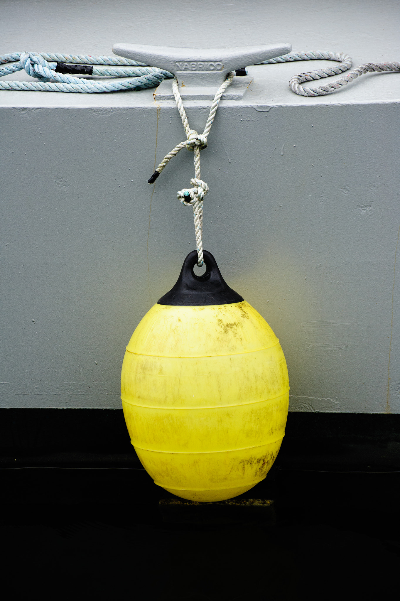 Nikon D3 sample photo. Big yellow photography