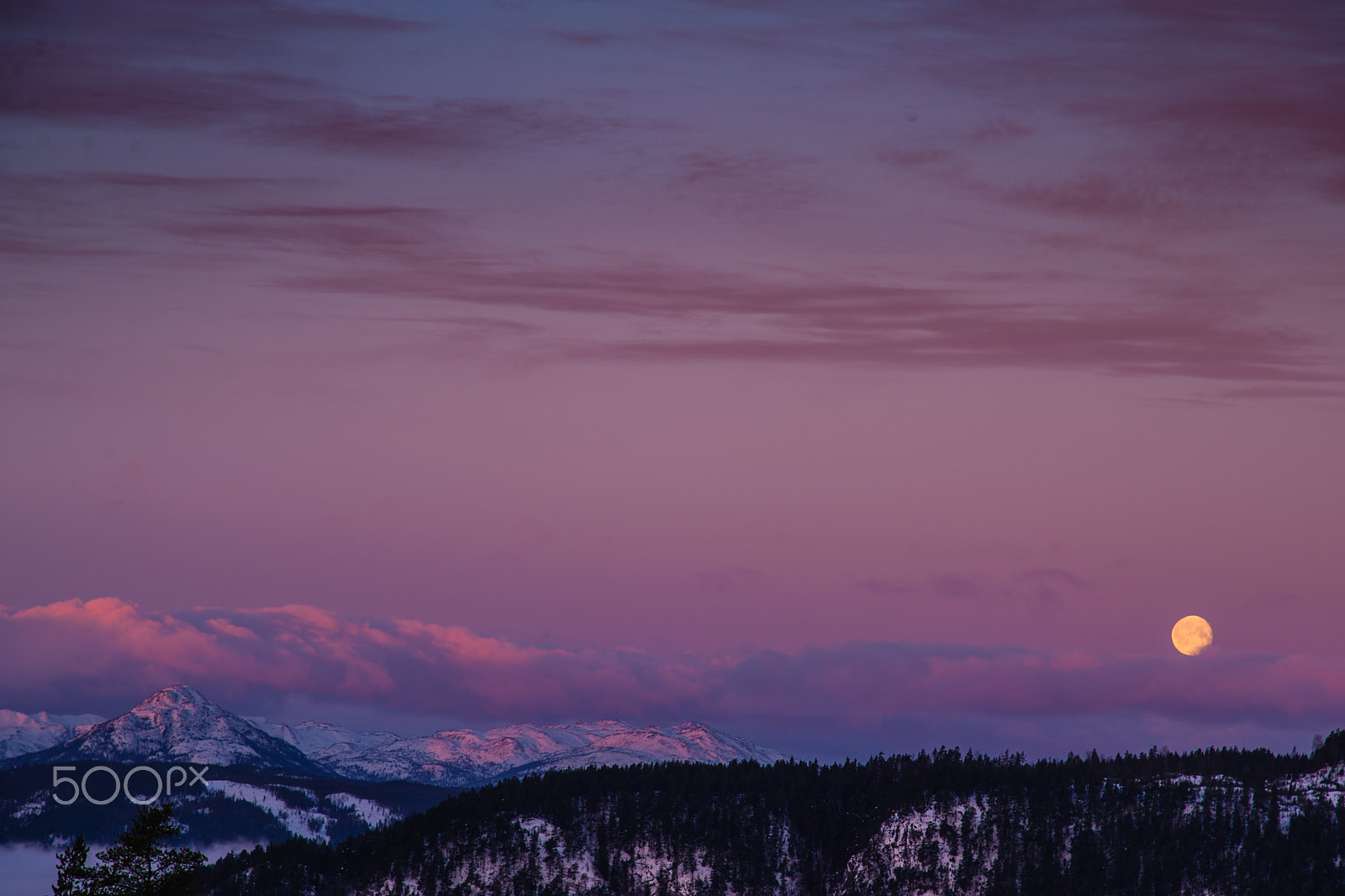 Nikon D3S sample photo. Moon over lifjell #2 photography