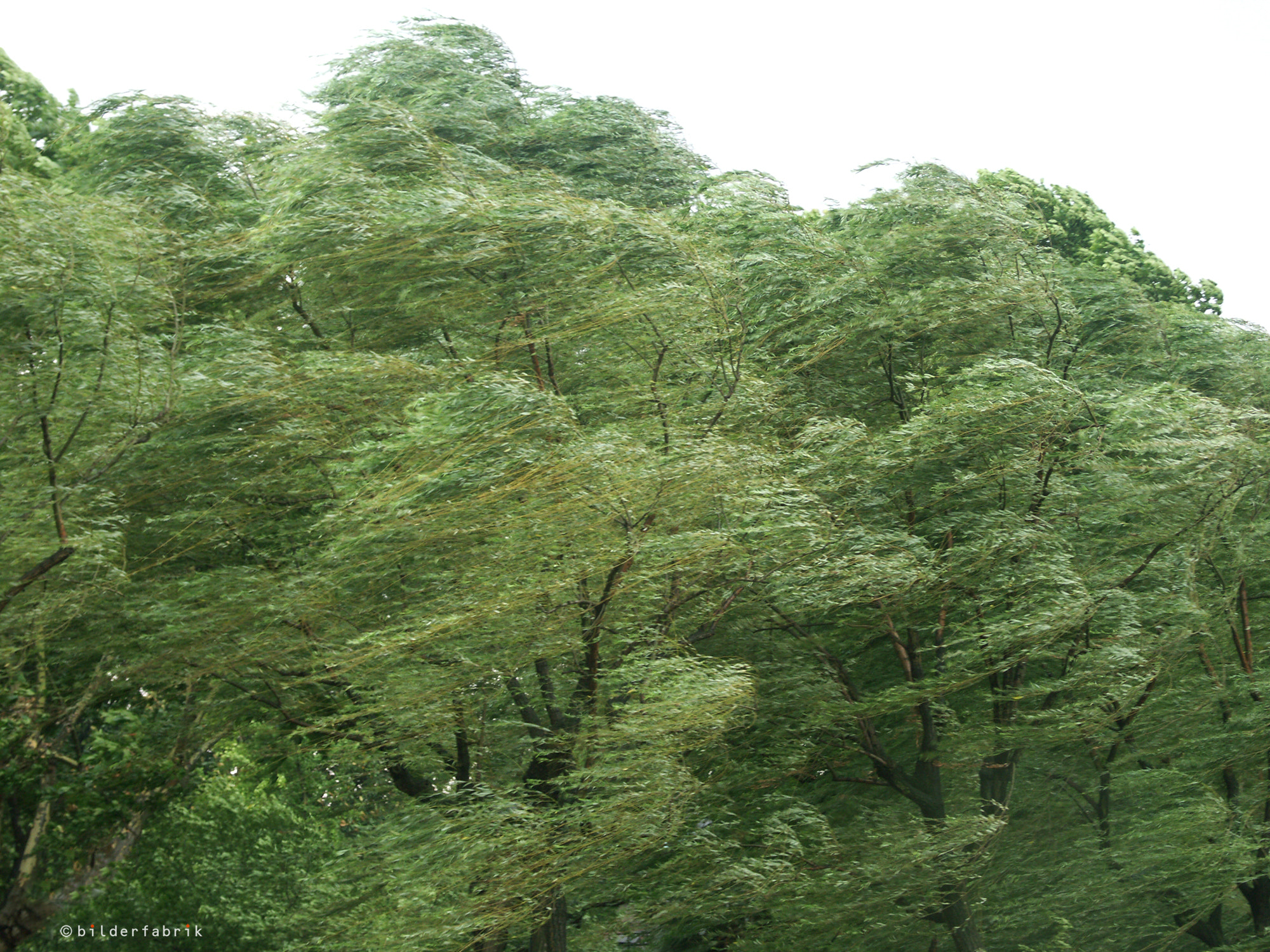 KONICA MINOLTA DiMAGE A2 sample photo. Stormy weather photography