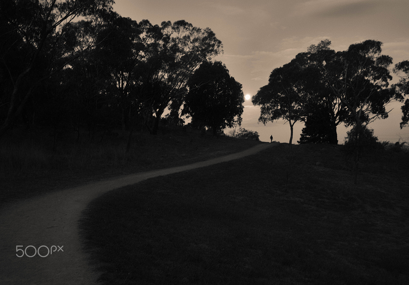 Panasonic DMC-GM1S sample photo. B&w photography