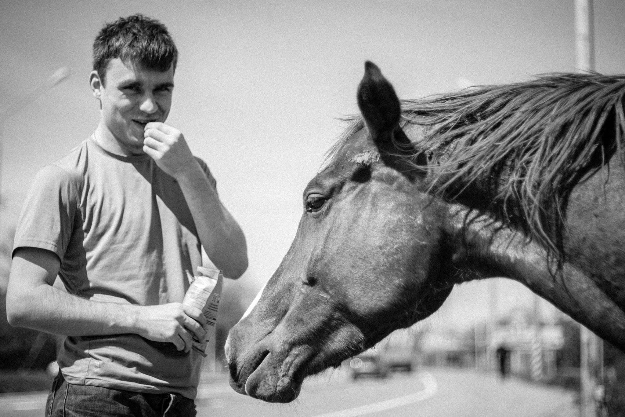 Canon EOS-1D Mark III + Canon EF 50mm F1.8 II sample photo. Bw horse and boy.jpg photography