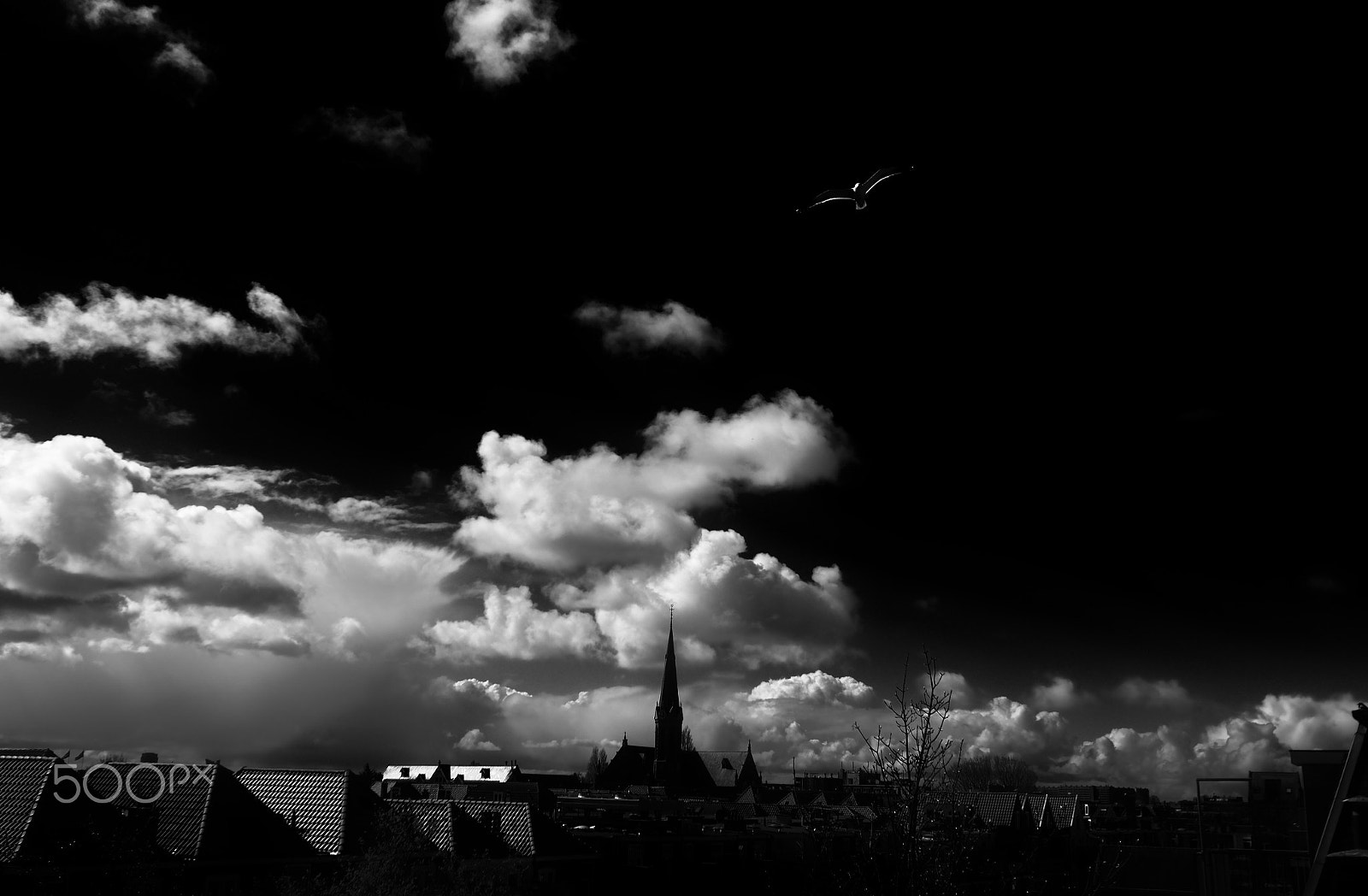 Pentax K-5 II sample photo. The netherlands photography