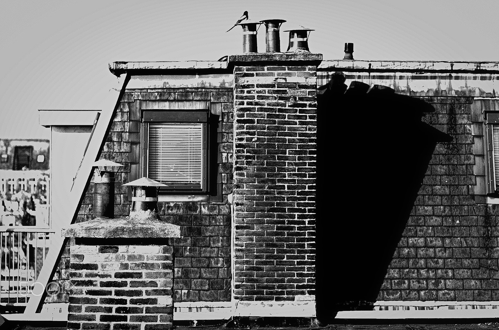 Pentax K-5 II + A Series Lens sample photo. The netherlands photography