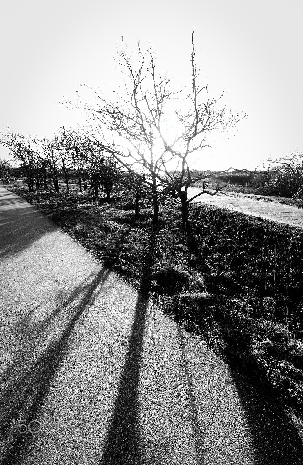 Pentax K-5 II sample photo. The netherlands photography