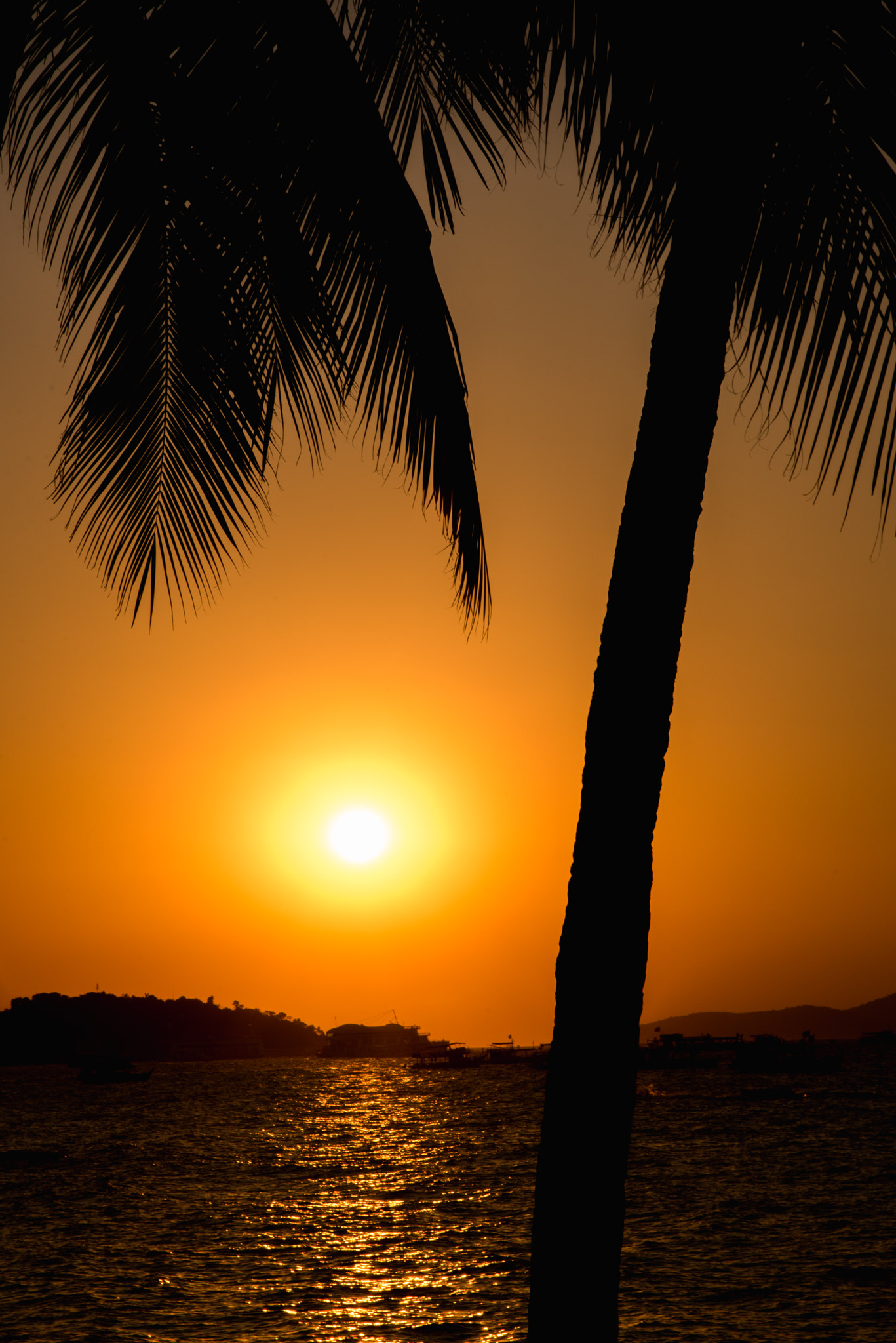 AF Zoom-Nikkor 28-105mm f/3.5-4.5D IF sample photo. Sunset photography