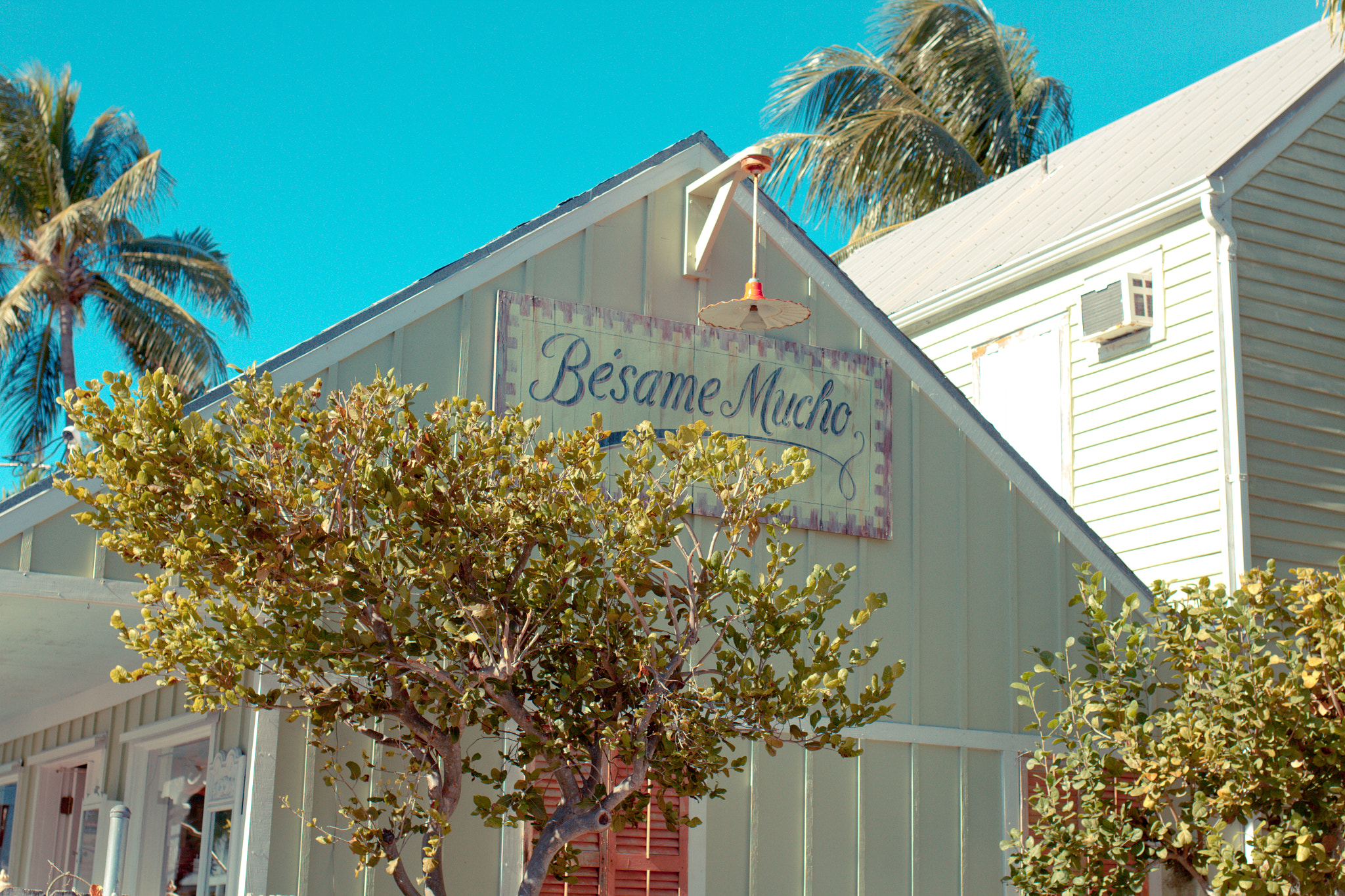 Canon EF 35mm F2 IS USM sample photo. Floride photography