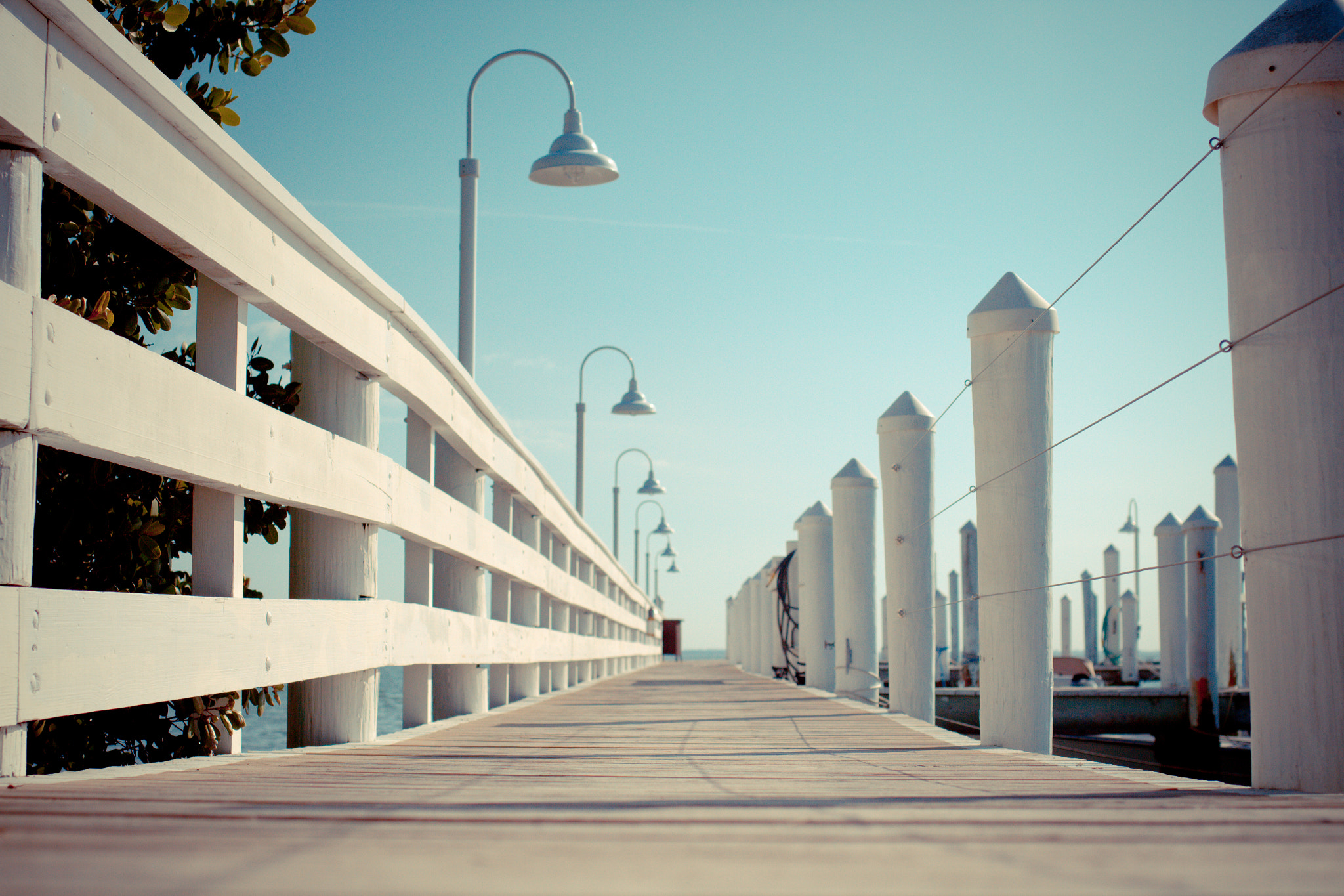 Canon EF 35mm F2 IS USM sample photo. Captiva one photography
