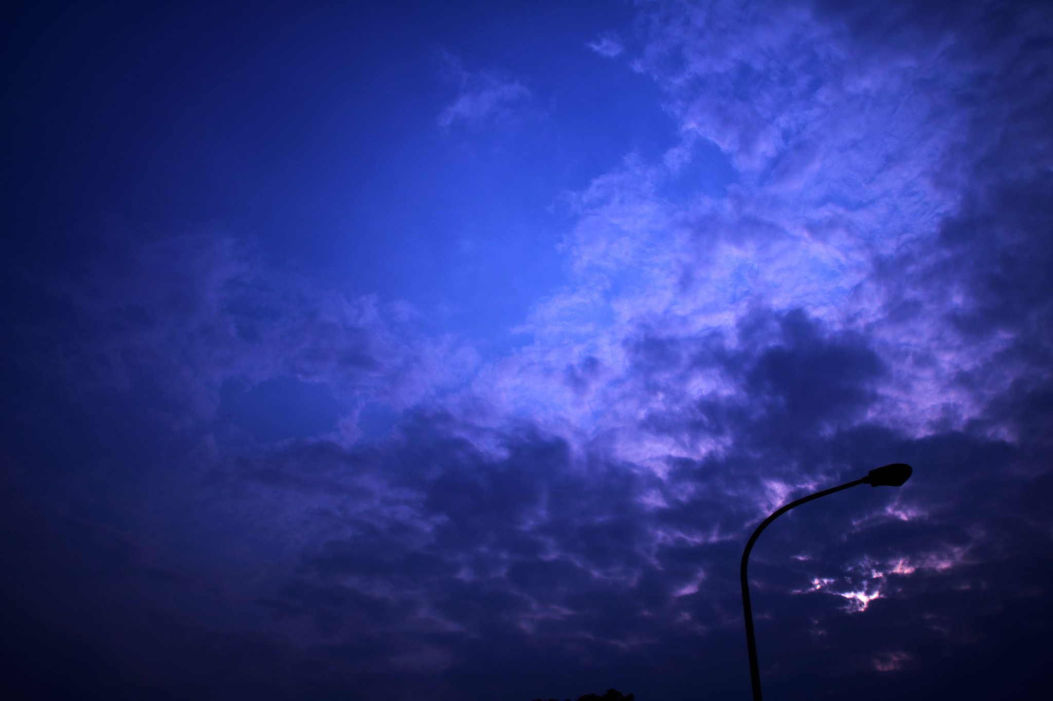 Canon EOS 760D (EOS Rebel T6s / EOS 8000D) sample photo. Sarajjlsphotograph photography