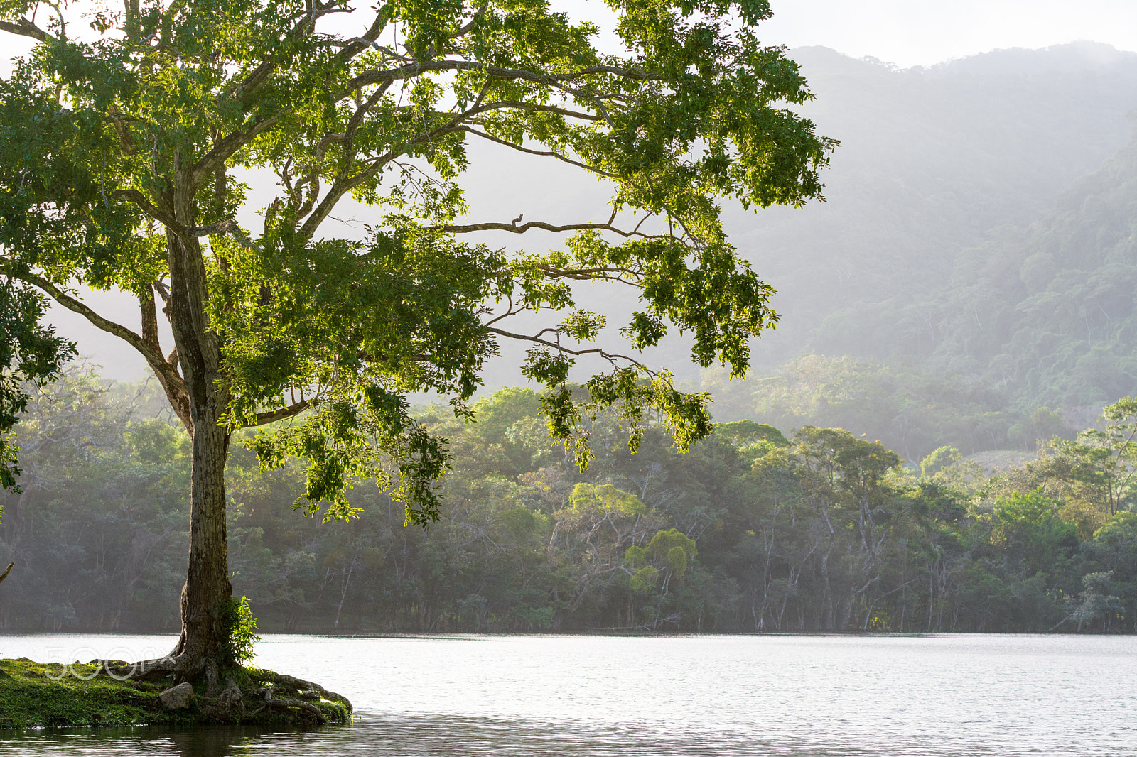 Sigma 70-200mm F2.8 EX DG OS HSM sample photo. By the lake photography
