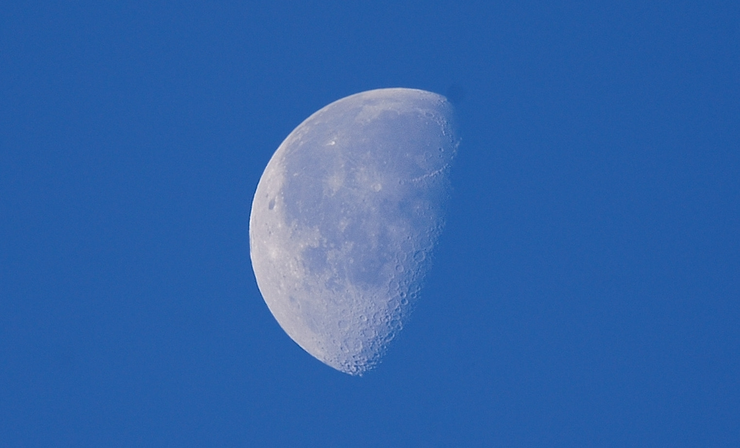 Nikon AF-S Nikkor 200-500mm F5.6E ED VR sample photo. Copy photography