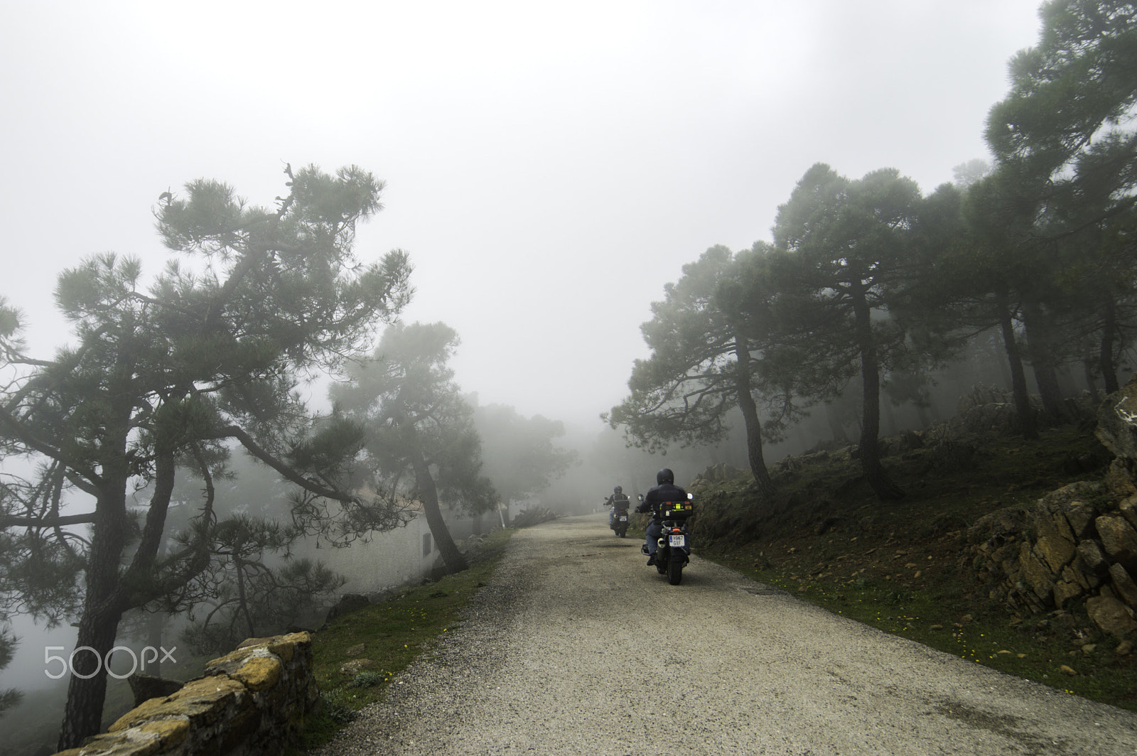 Samyang 14mm F2.8 ED AS IF UMC sample photo. Misty ride photography