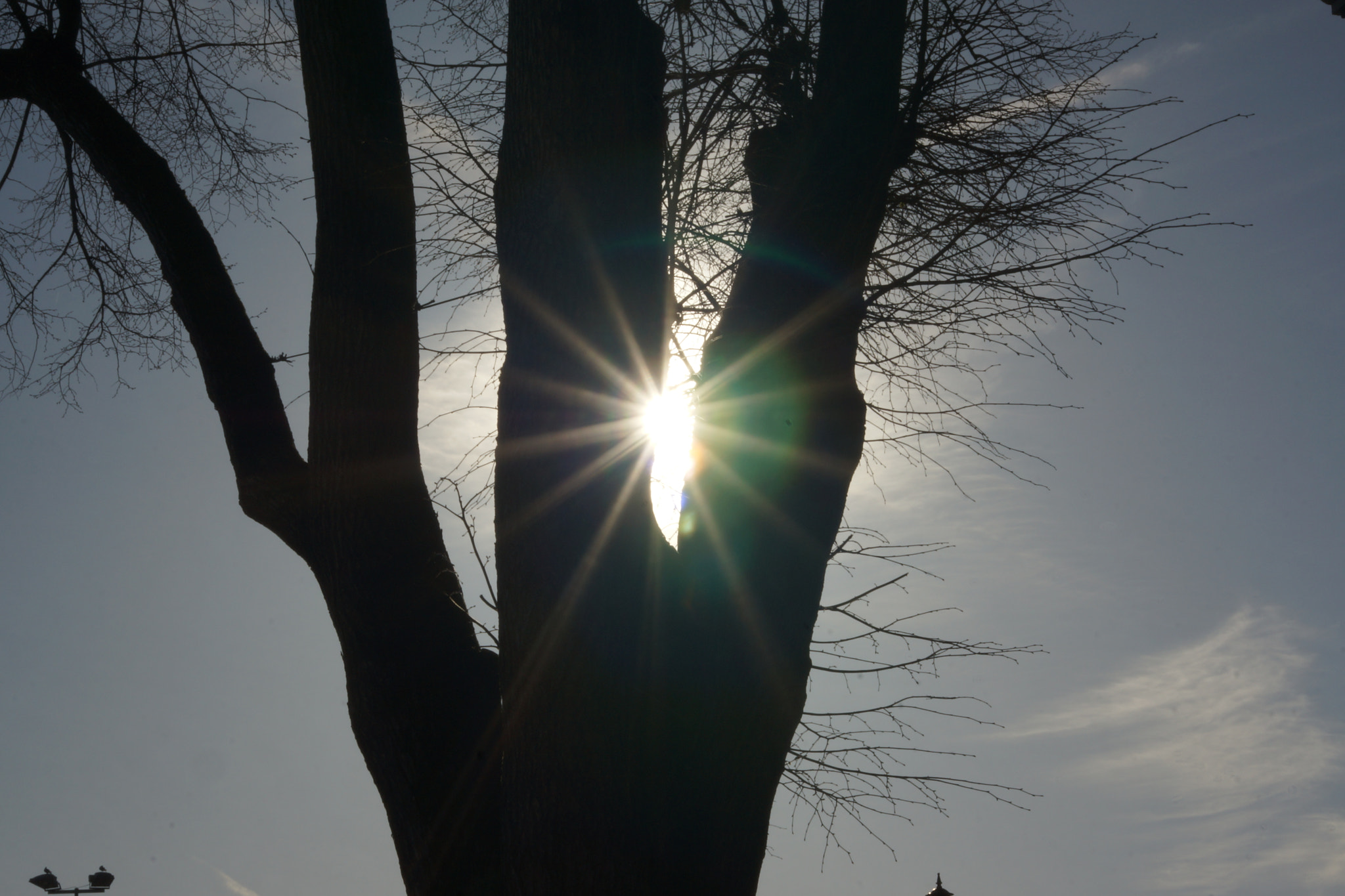 Sony SLT-A77 + Tamron Lens (255) sample photo. Sunnystar photography