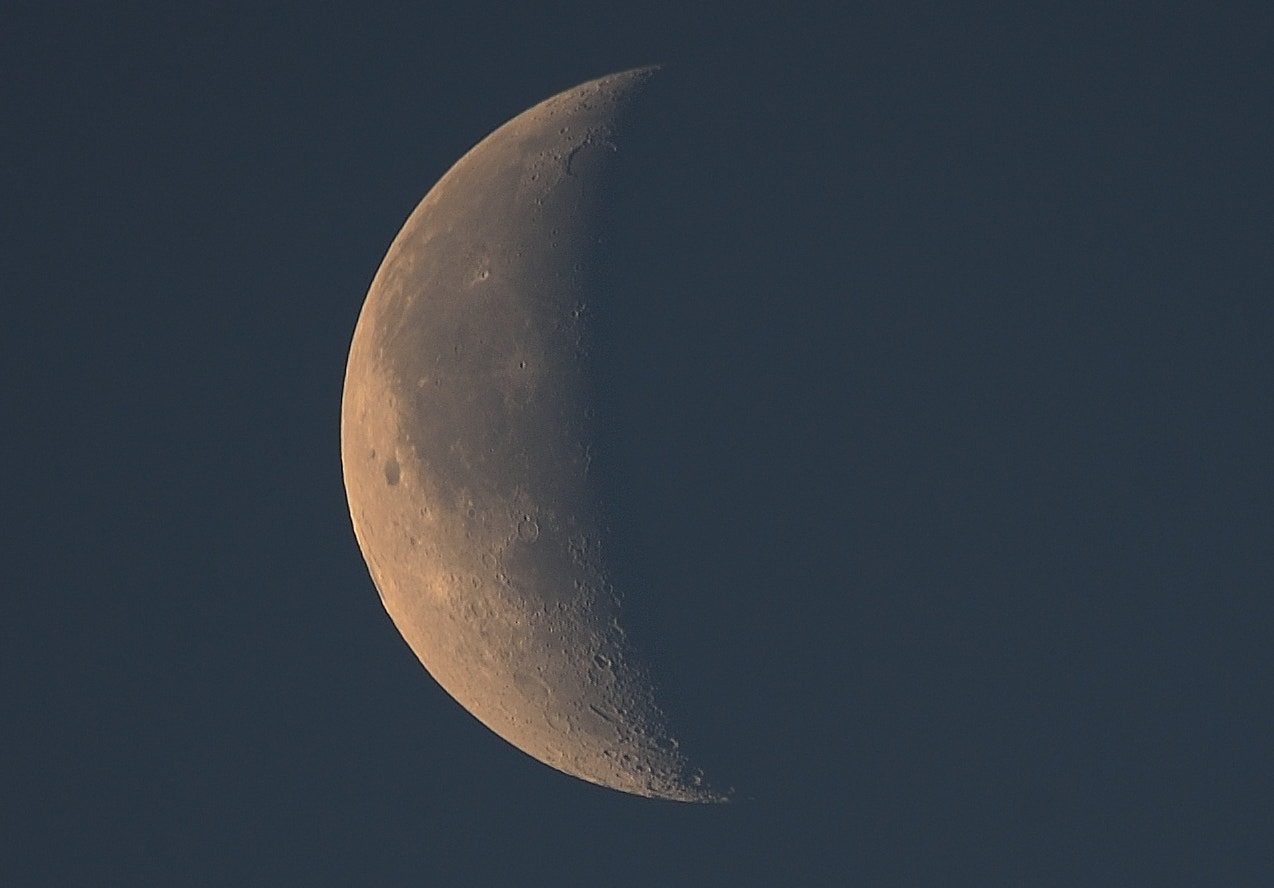 Nikon AF-S Nikkor 200-500mm F5.6E ED VR sample photo. Copy photography