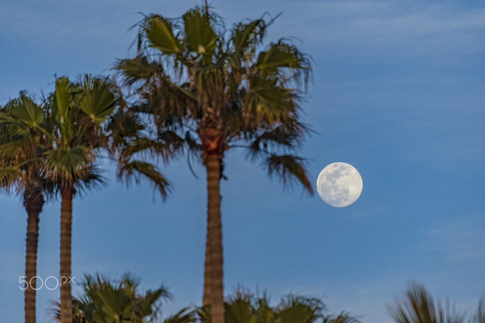 Nikon D3S sample photo. Moonrise over oceanside photography