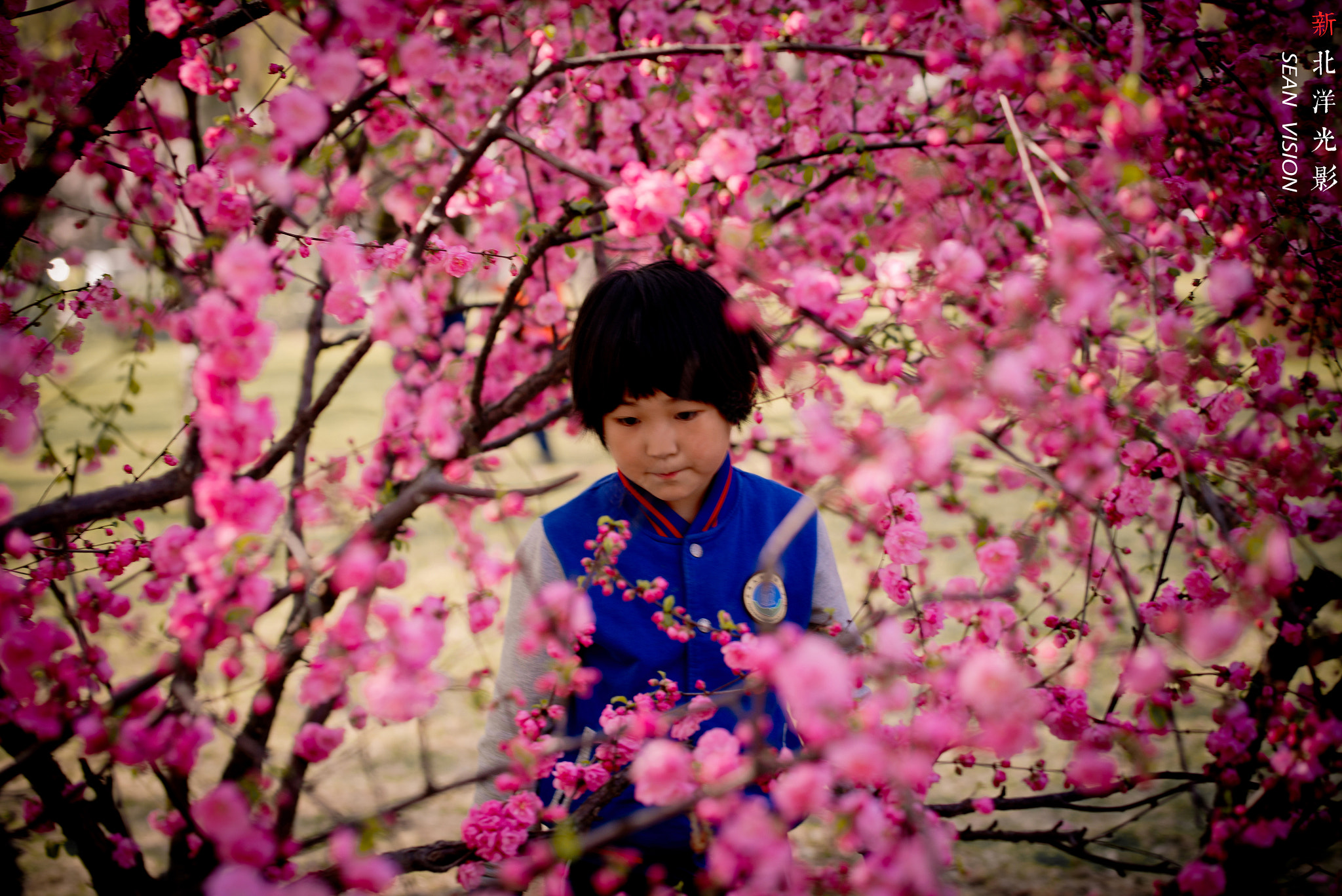 Nikon D800E sample photo. Childhood photography