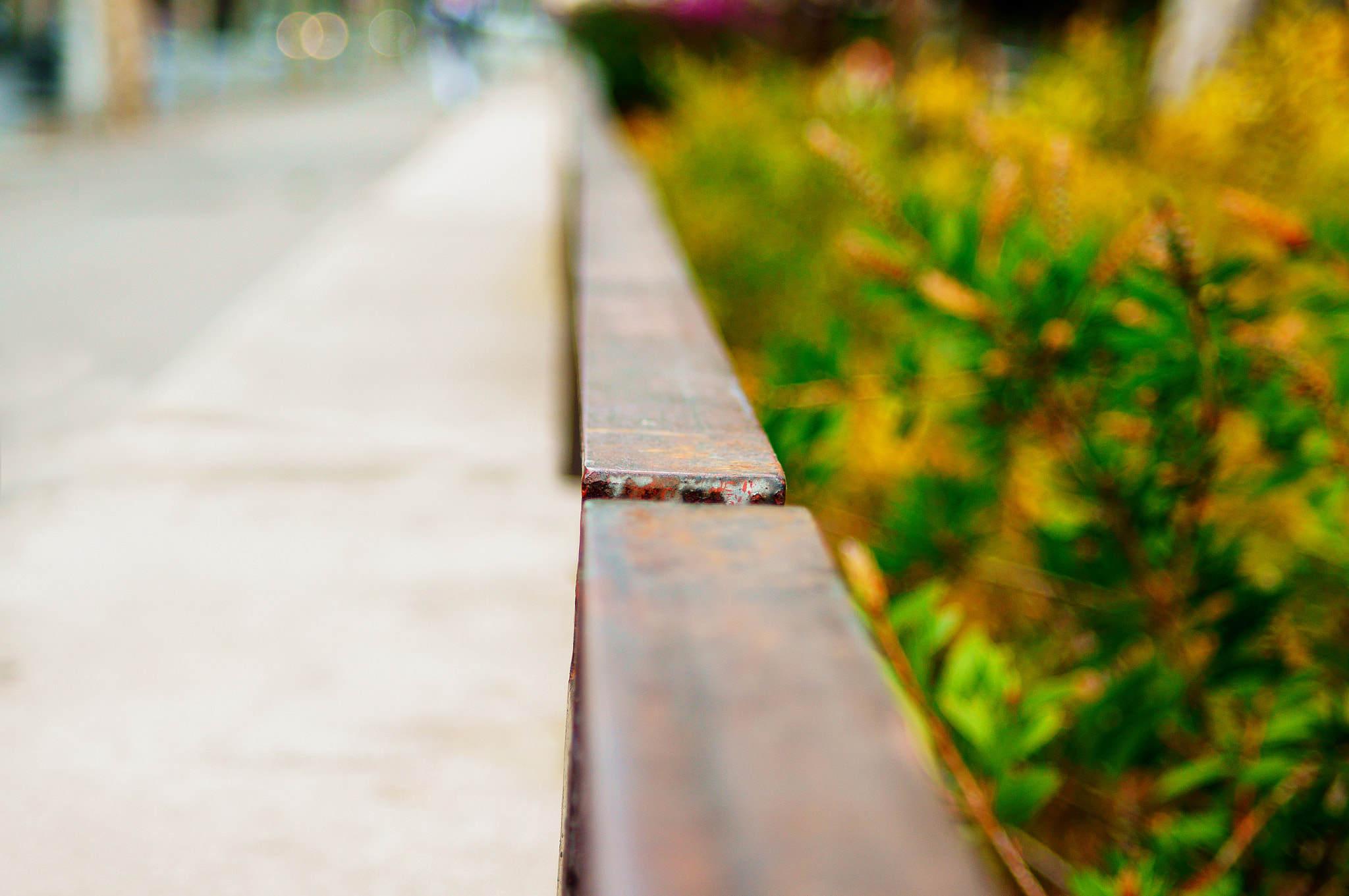 35-70mm F4 sample photo. Bokeh - desenfoque photography