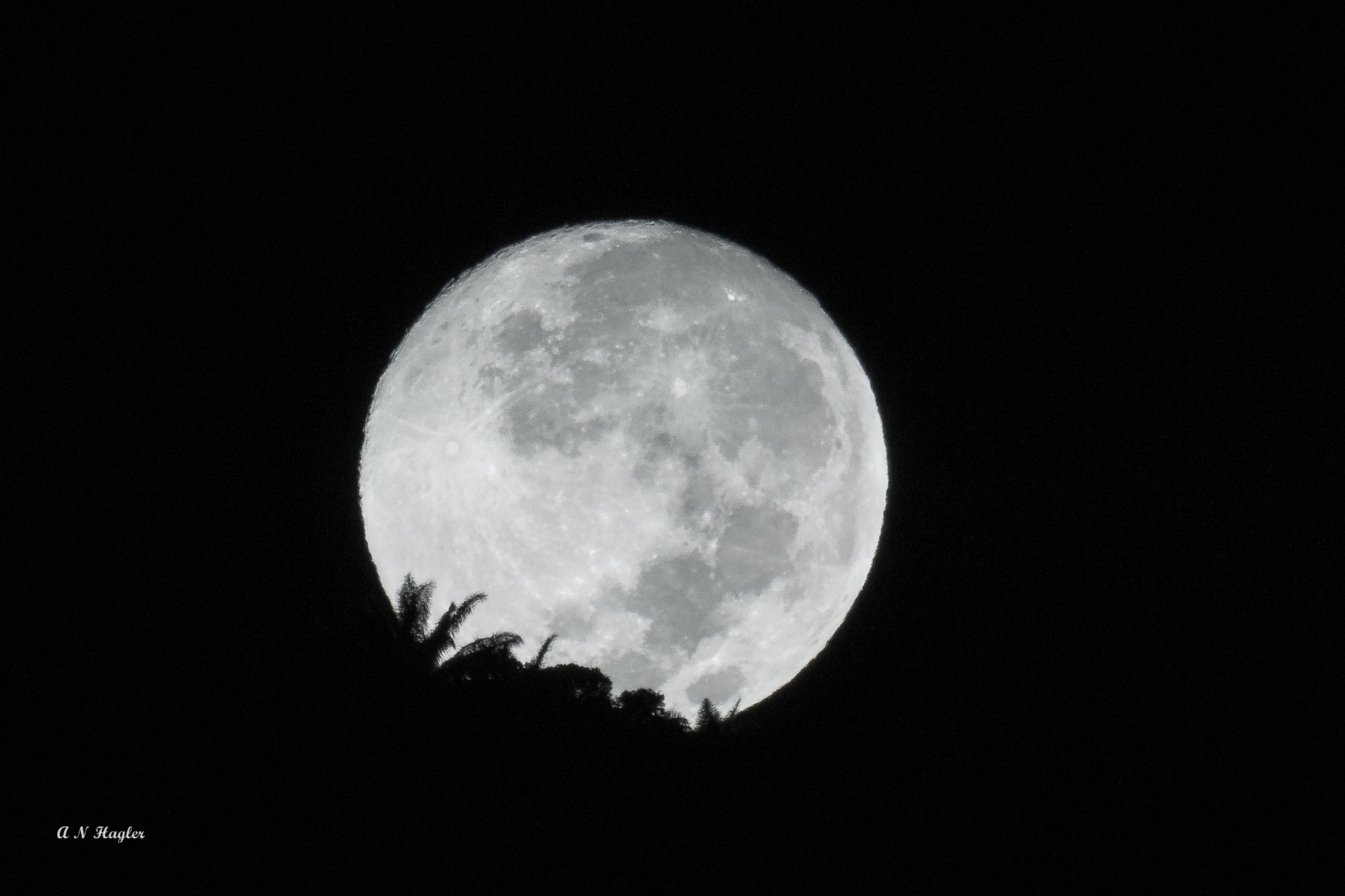 Sony SLT-A77 + Sony 500mm F8 Reflex sample photo. Moonset full on atlantic forest photography