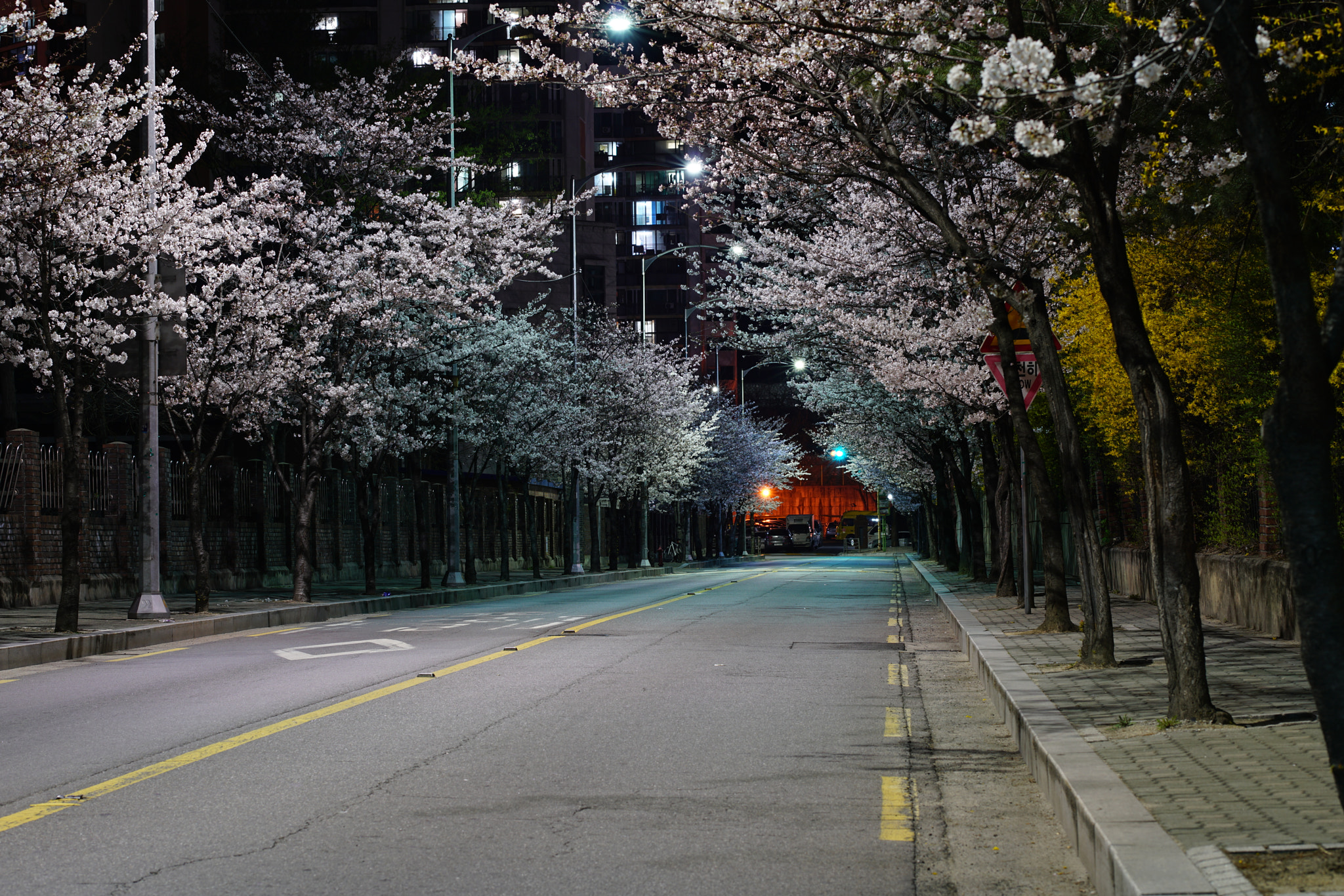 Sony Planar T* 85mm F1.4 ZA sample photo