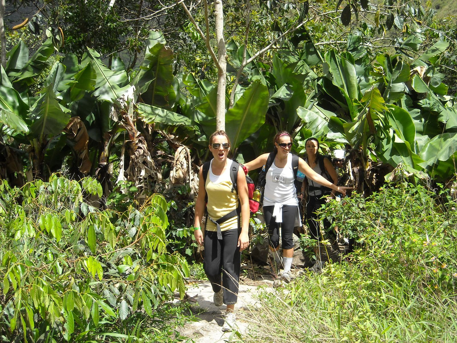 Nikon Coolpix L16 sample photo. Inca jungle photography