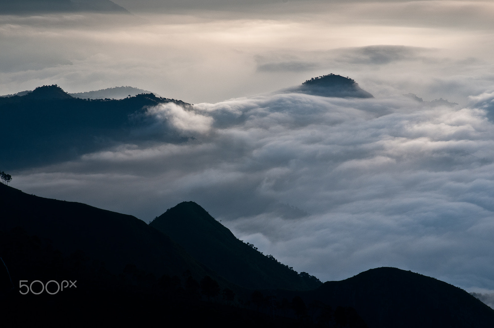 Nikon D300 + Sigma 50-150mm F2.8 EX APO DC HSM sample photo. From kodaikanal photography