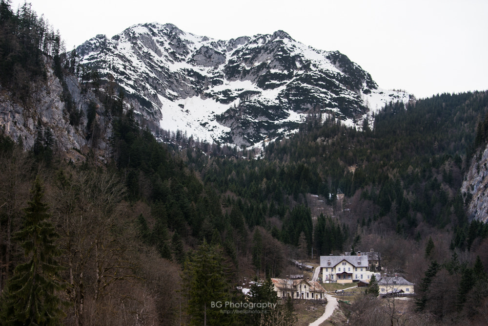 Sony a7 II + Canon EF 70-200mm F4L IS USM sample photo. Snowberg. photography