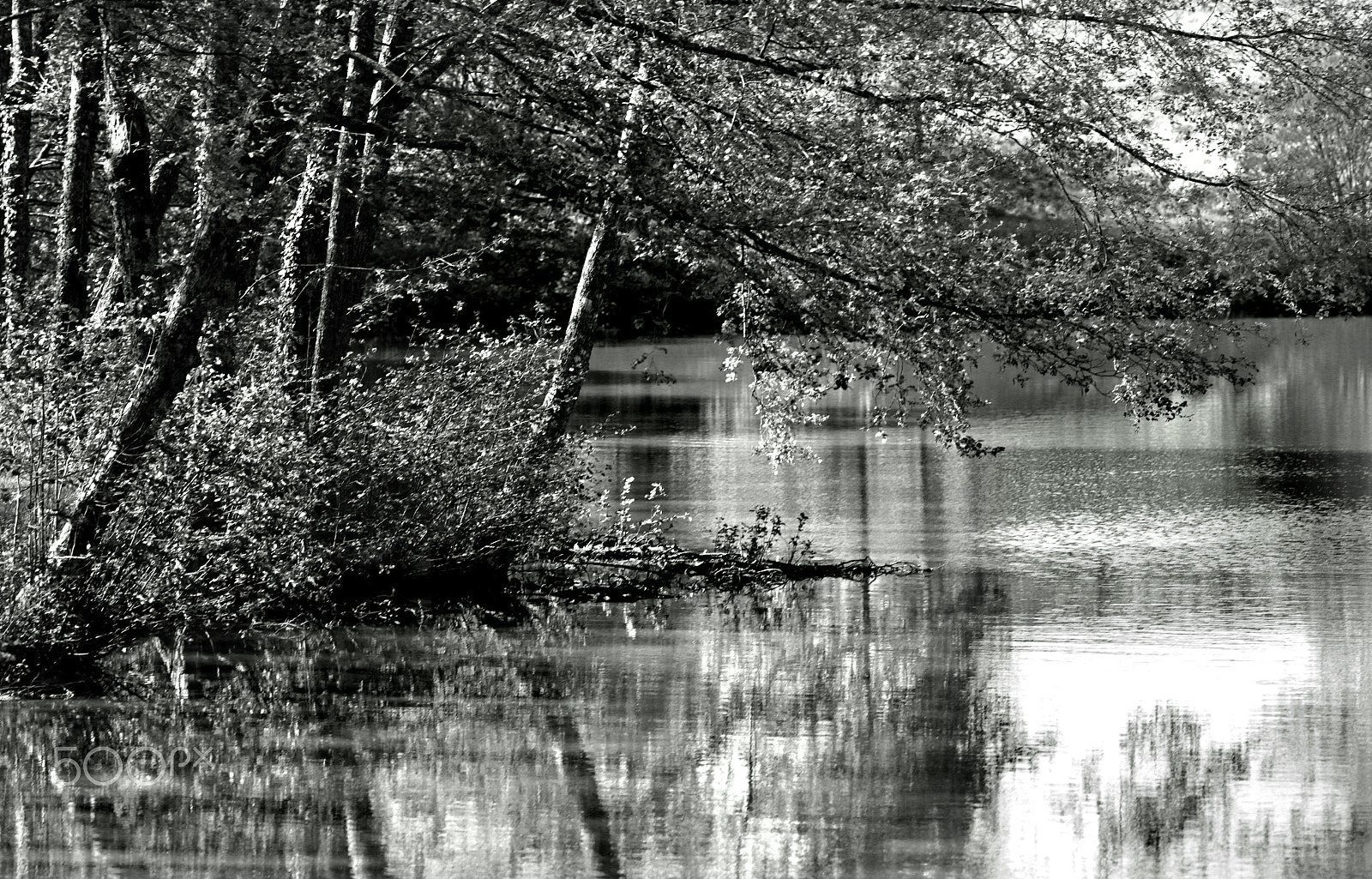 Canon EOS 6D + Canon EF 200mm f/2.8L sample photo. Reflections photography