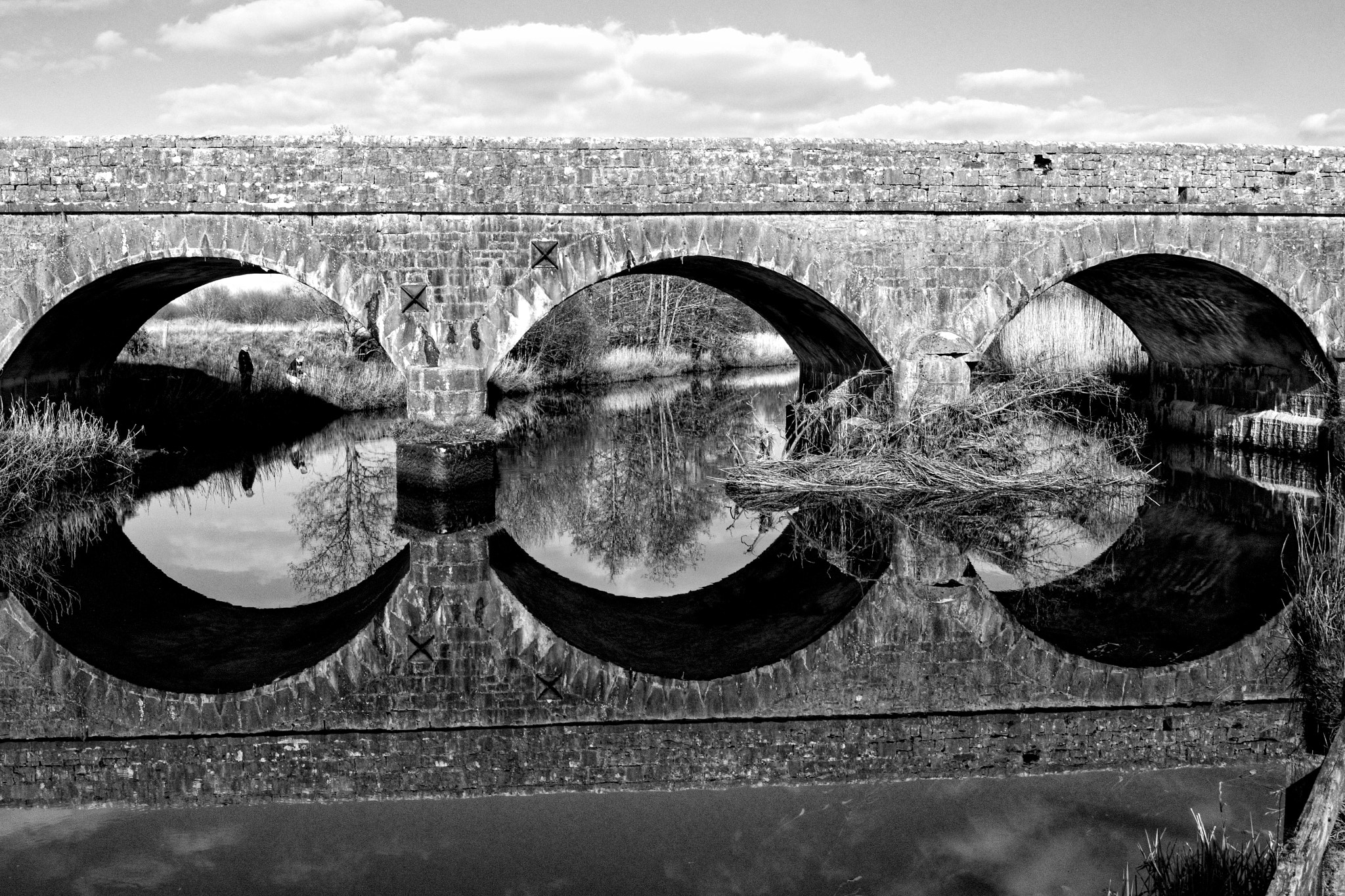18.00 - 55.00 mm f/3.5 - 5.6 sample photo. Do not disturb my circles photography