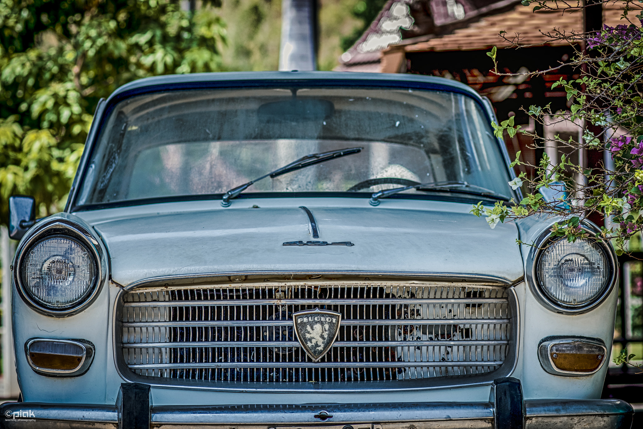 Canon EF 85mm F1.2L II USM sample photo. Vintage peugeot photography
