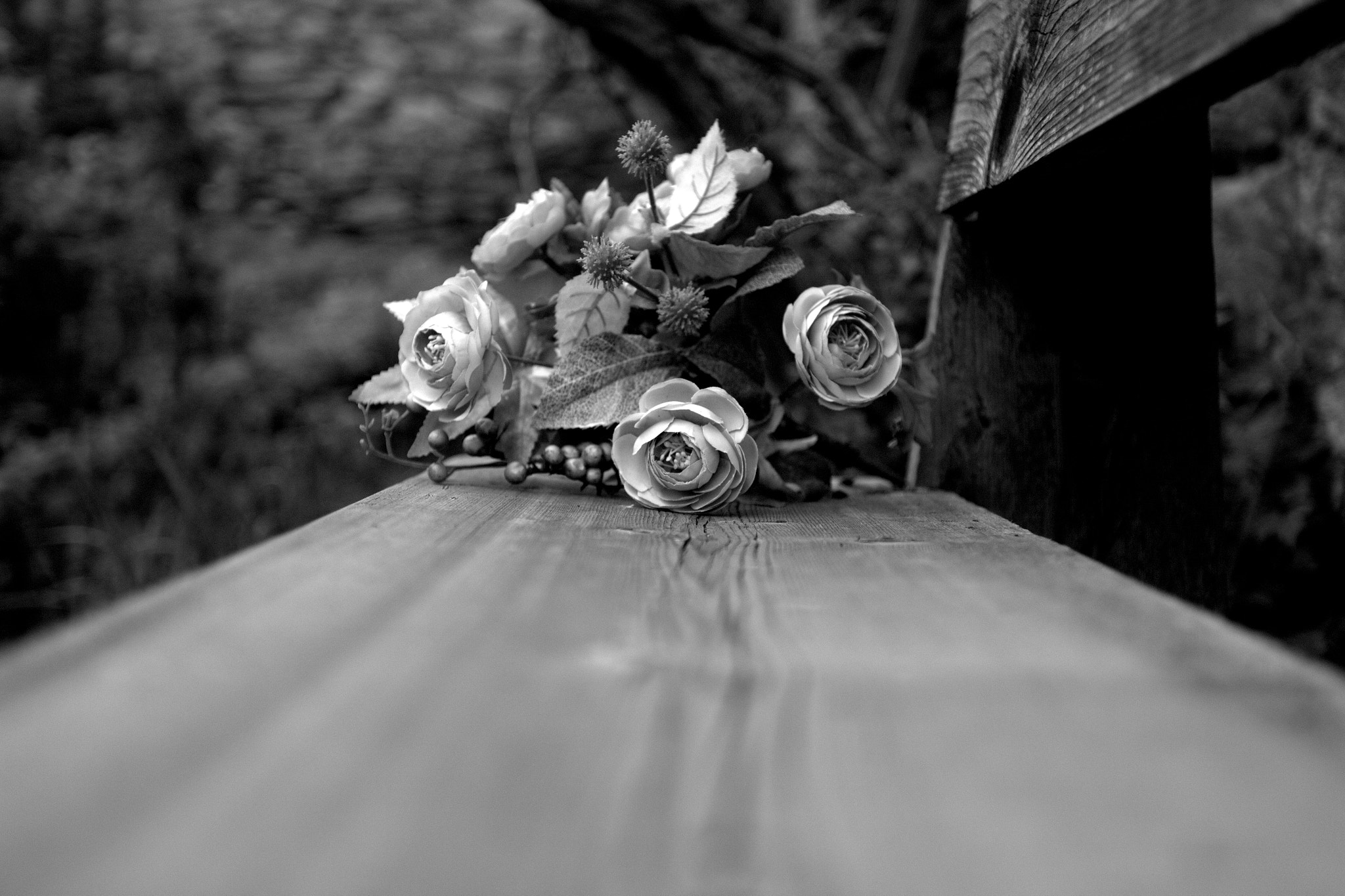 Canon EF 16-35mm F2.8L II USM sample photo. Waiting photography
