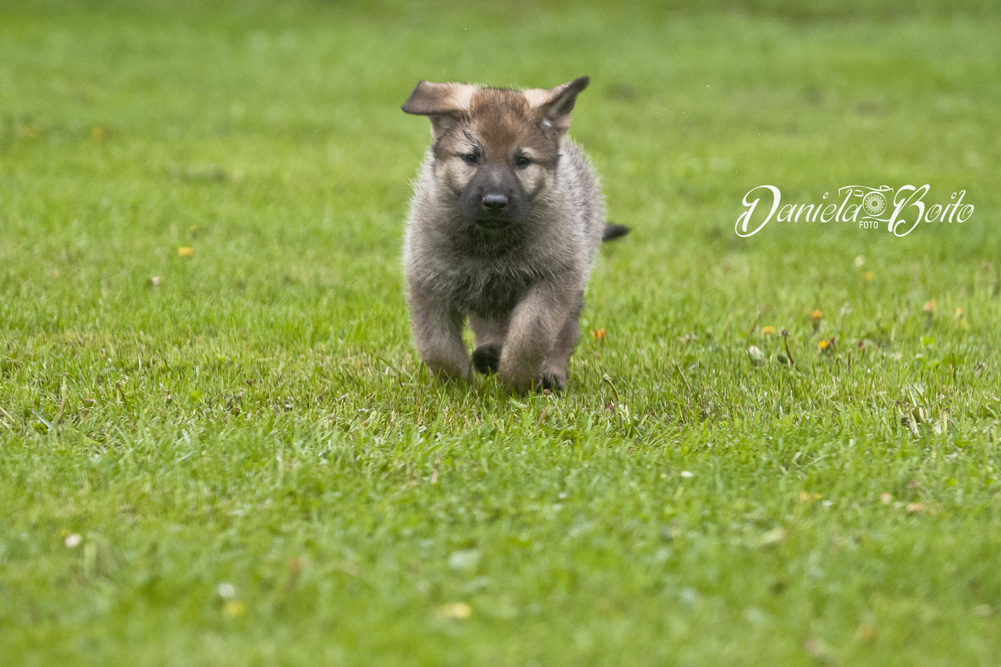 AF-S Zoom-Nikkor 80-200mm f/2.8D IF-ED sample photo. Running towards life photography