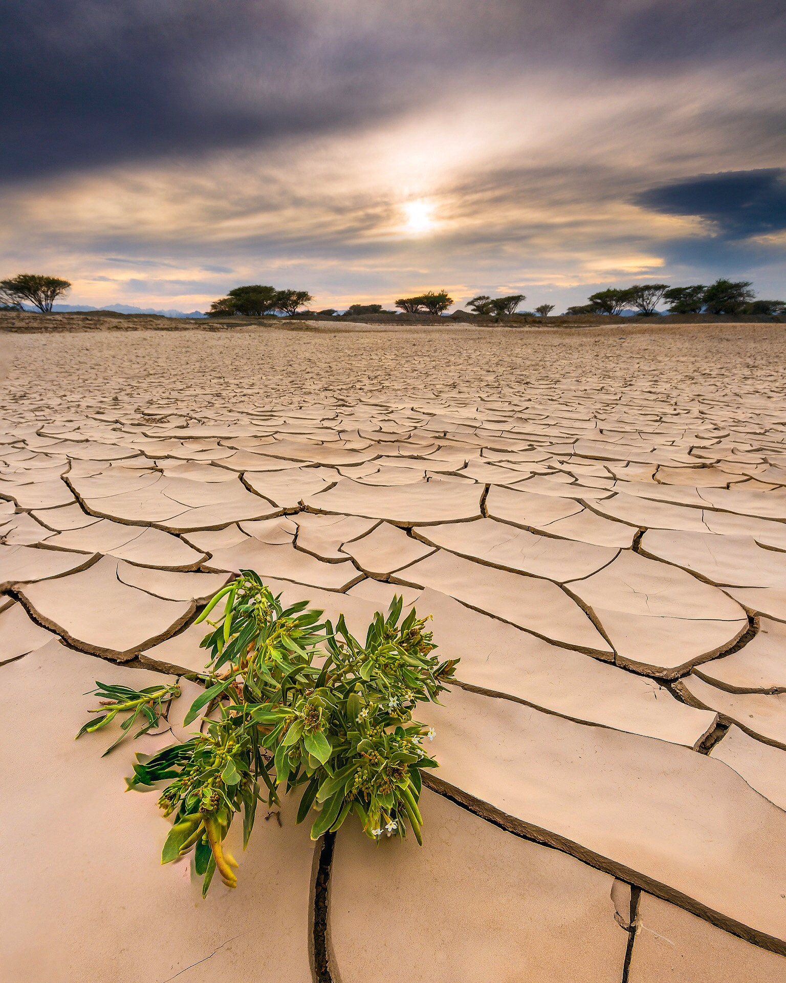 Canon EOS 6D + Canon EF 16-35mm F2.8L USM sample photo. Alone in the earth photography