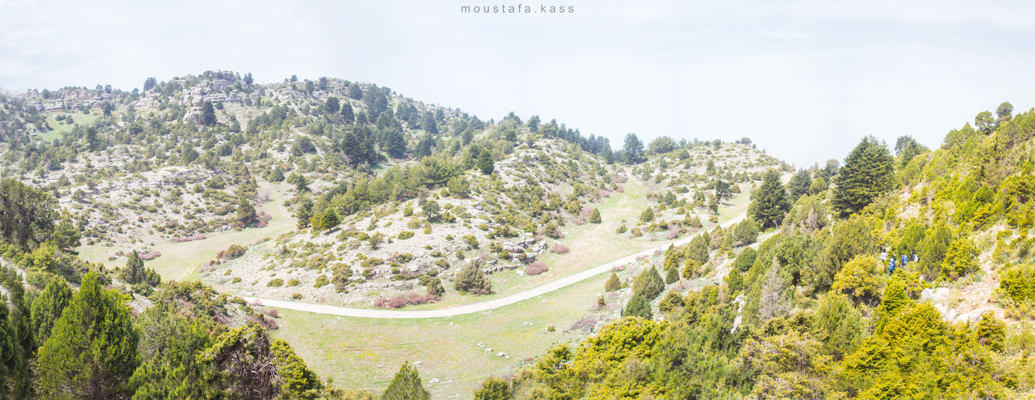 Canon EF 35mm F2 sample photo. Nature photography
