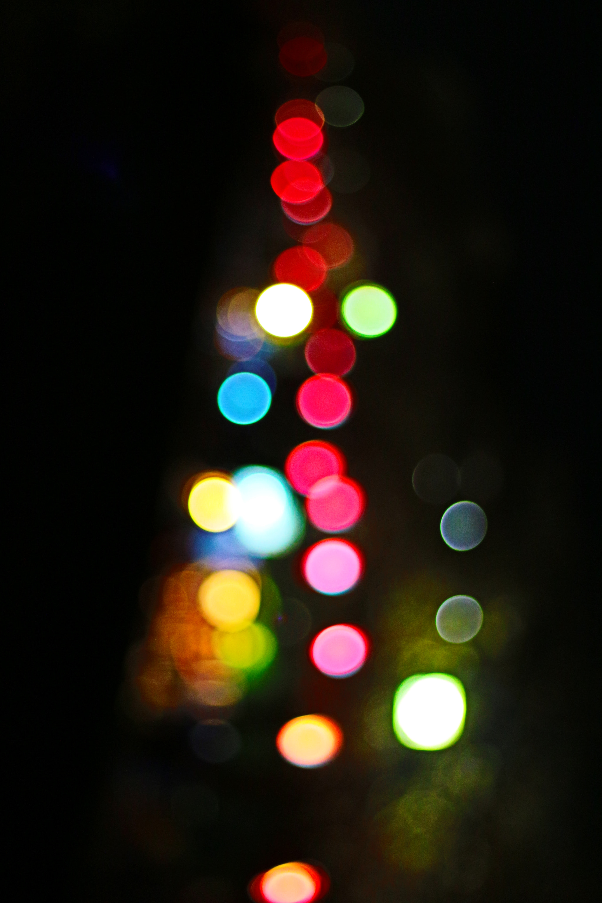 Canon EOS 700D (EOS Rebel T5i / EOS Kiss X7i) sample photo. Celebrating photography