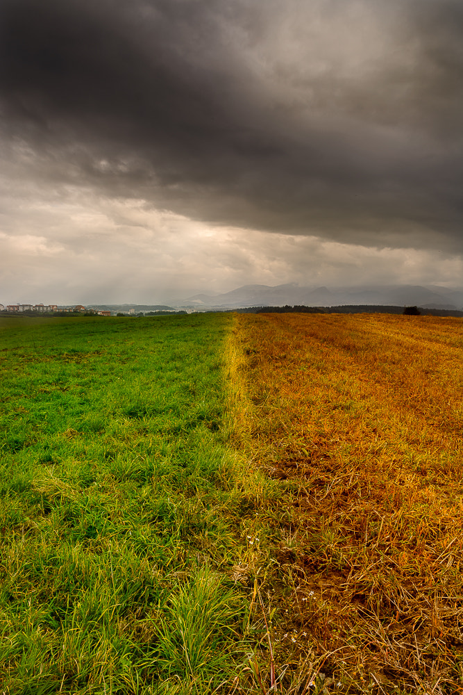 Sigma 17-70mm F2.8-4 DC Macro OS HSM | C sample photo. Fields and meadows photography