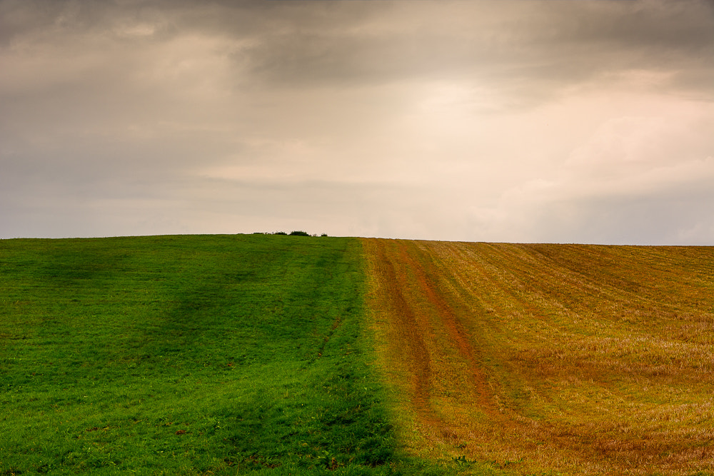 Sigma 17-70mm F2.8-4 DC Macro OS HSM | C sample photo. Fields and meadows photography