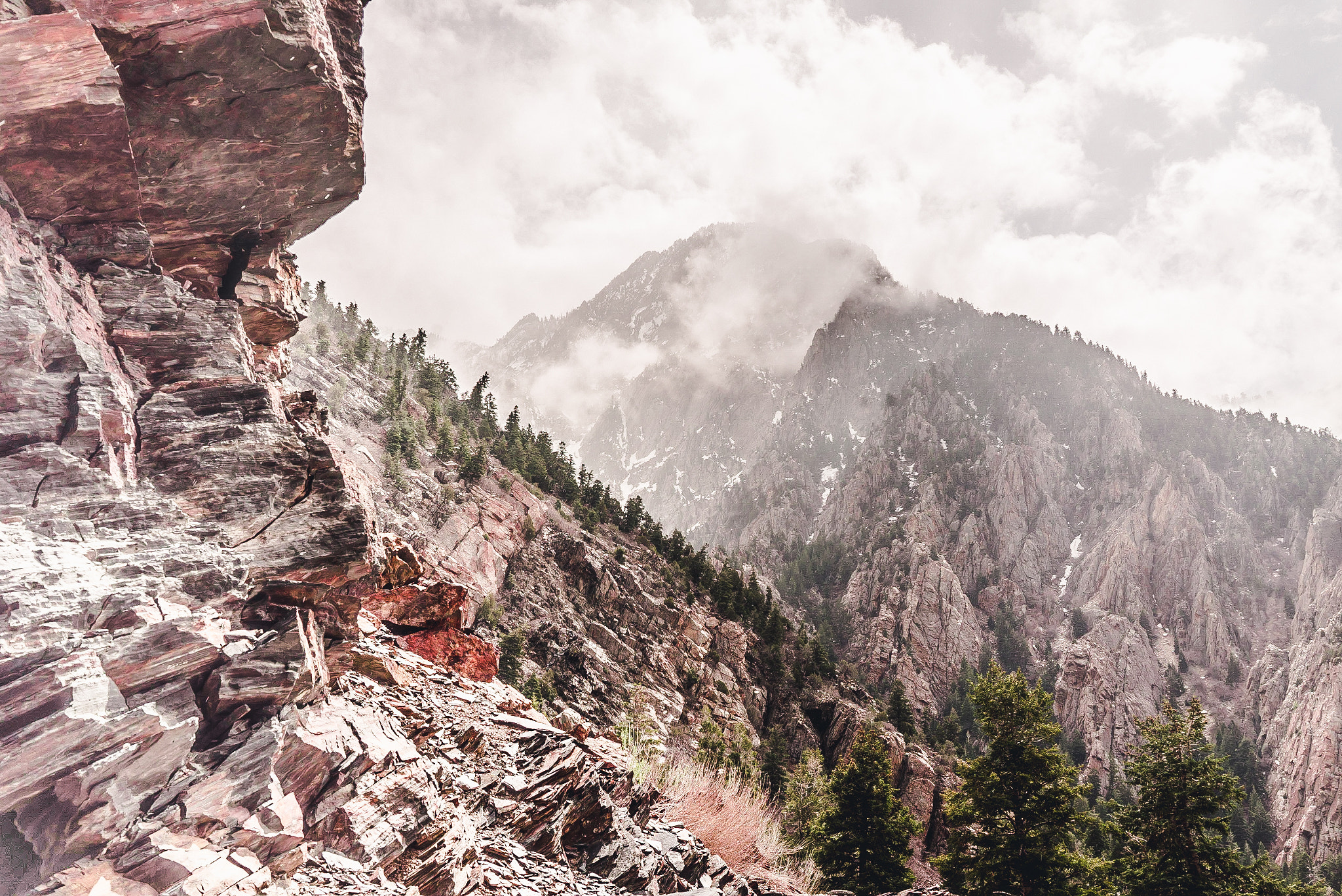 Sony a7S II + Sony Sonnar T* FE 35mm F2.8 ZA sample photo. Big cottonwood photography