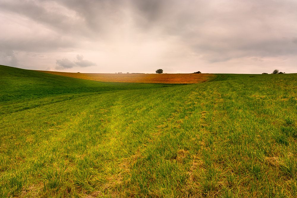 Sigma 17-70mm F2.8-4 DC Macro OS HSM | C sample photo. Fields and meadows photography