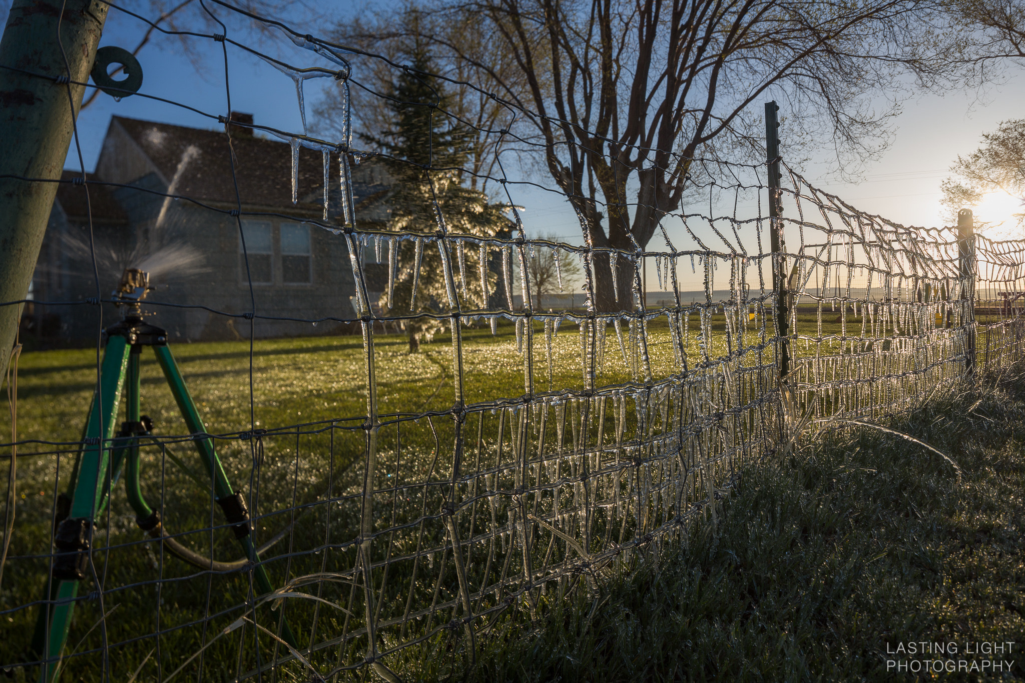 Canon TS-E 24.0mm f/3.5 L II sample photo. Icicles at sunrise photography