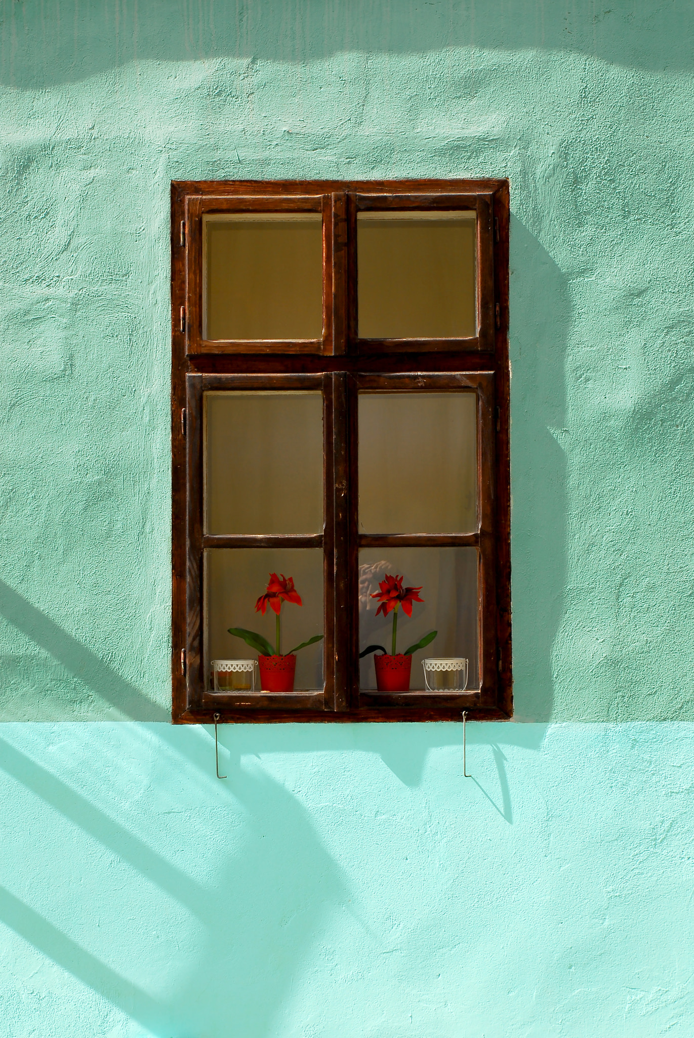 Nikon D200 sample photo. Two red flowers photography